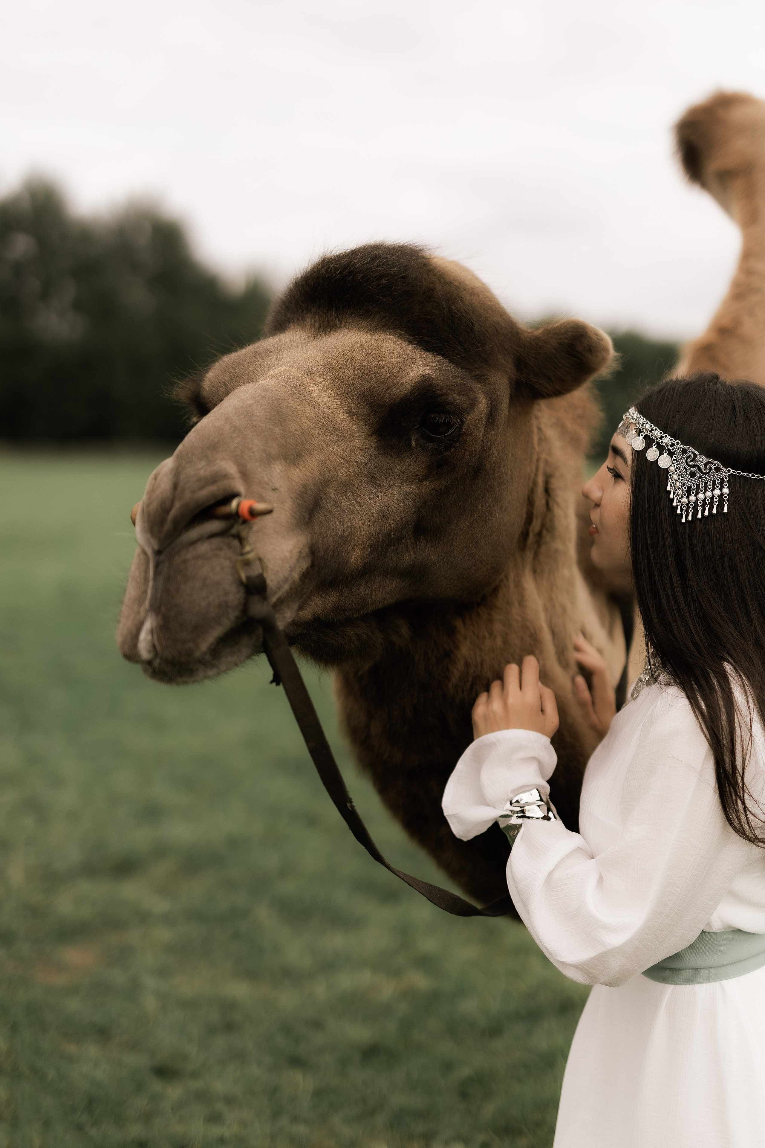 Айна и Аман. Фотограф Елизавета Князева Сергиев Посад, Москва
