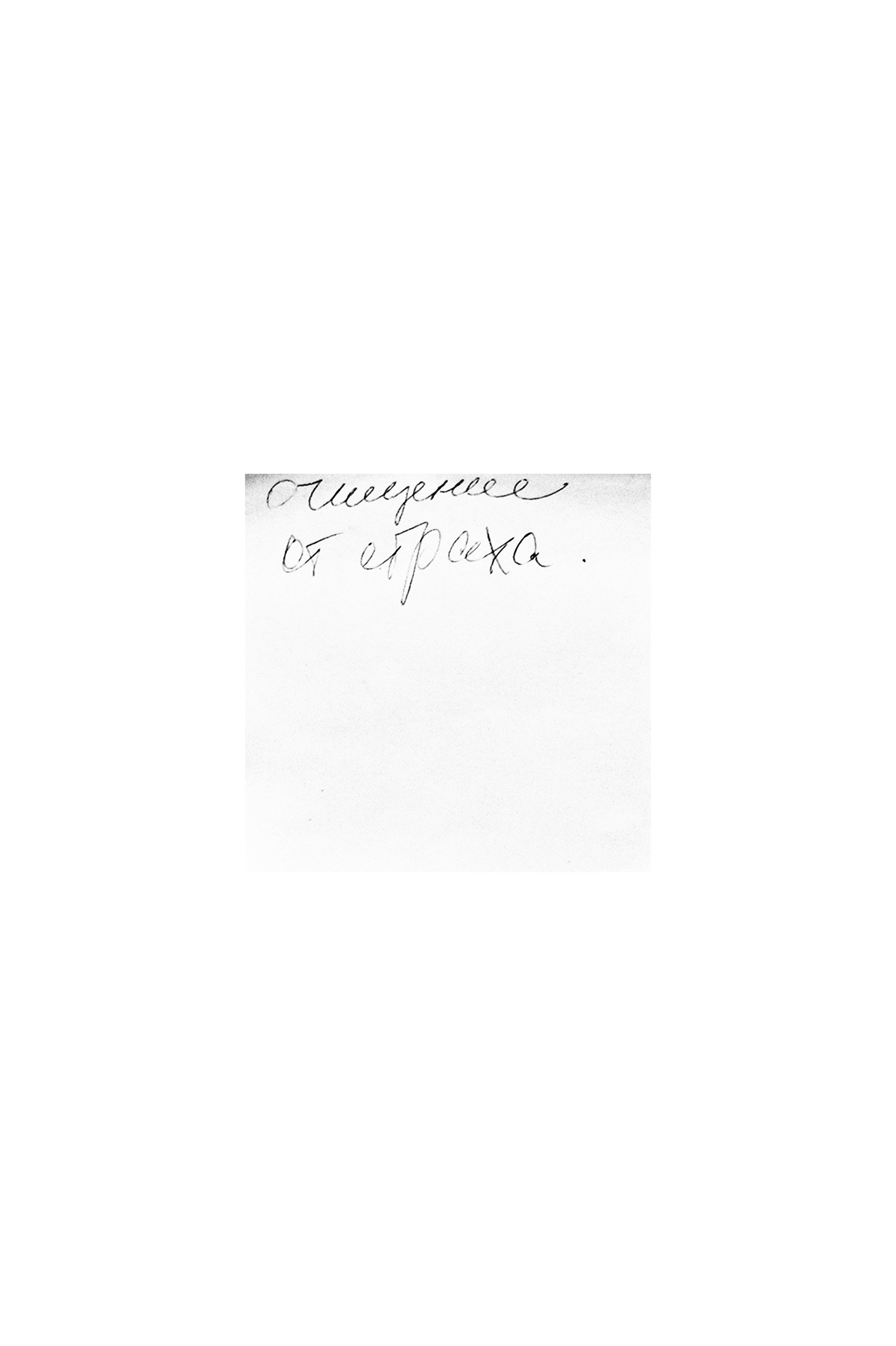 Я приношу к себе лес я себя приношу в лес. Алиса Косарева