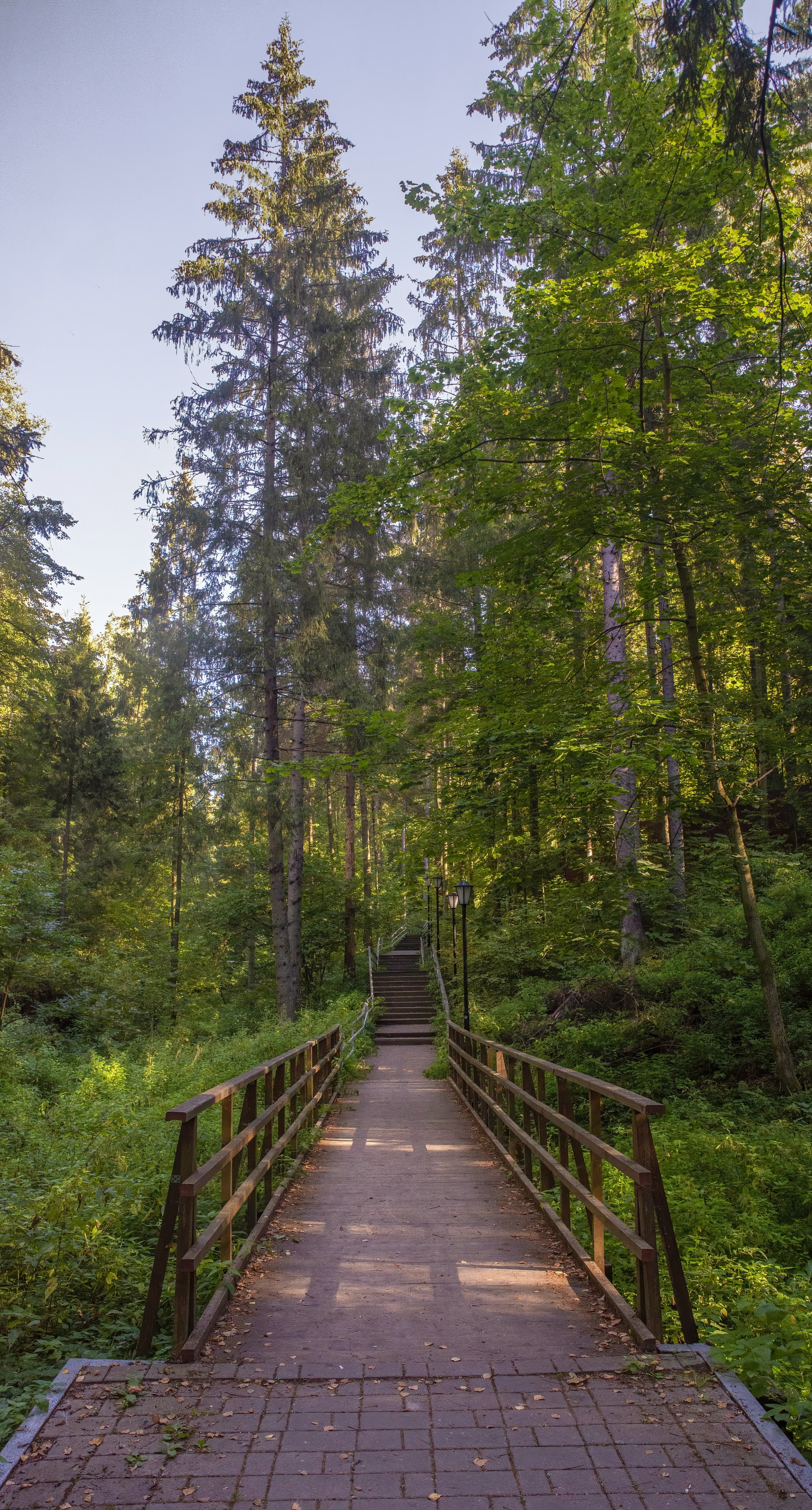 Абрамцево. Сентябрь 2023. Игорь Жучков. Россия увиденная глазами путешествующего фотографа