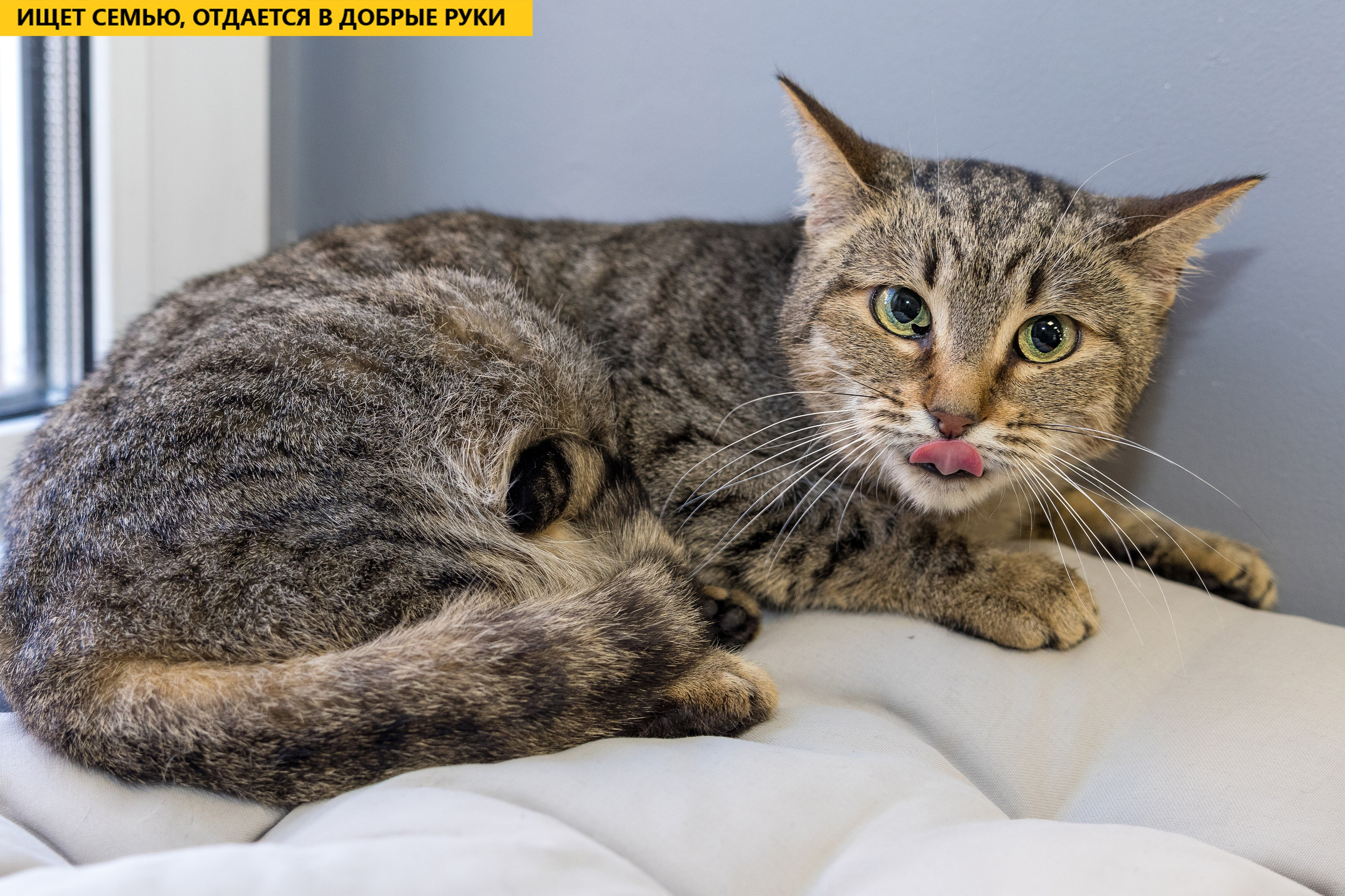 Рекламная съемка в Москве. Геннадий Степанов —фотограф в Москве