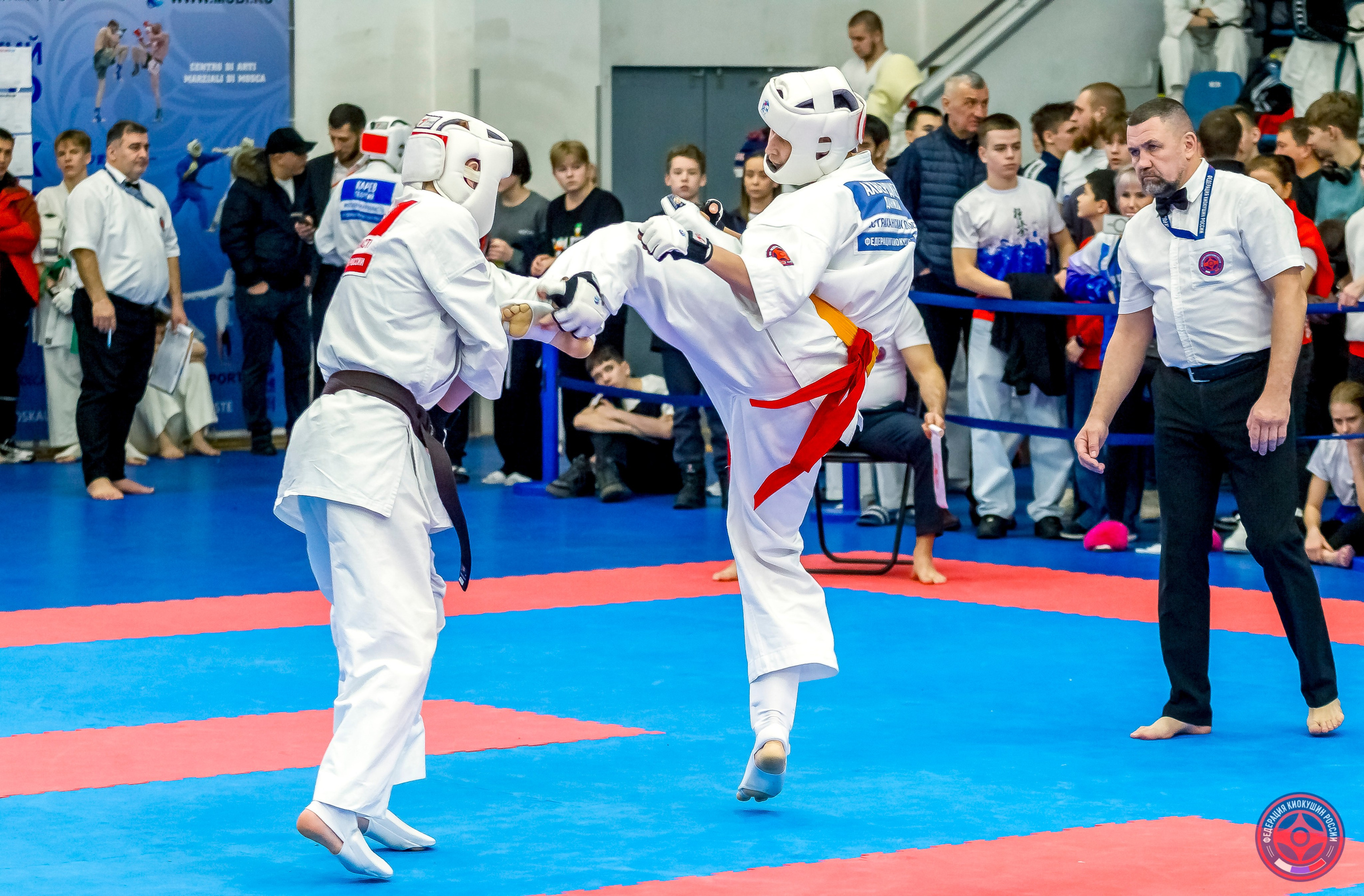 Международный турнир по киокушин «Открытый кубок Seiken». Репортажная съемка в Москве и области. Анималистика