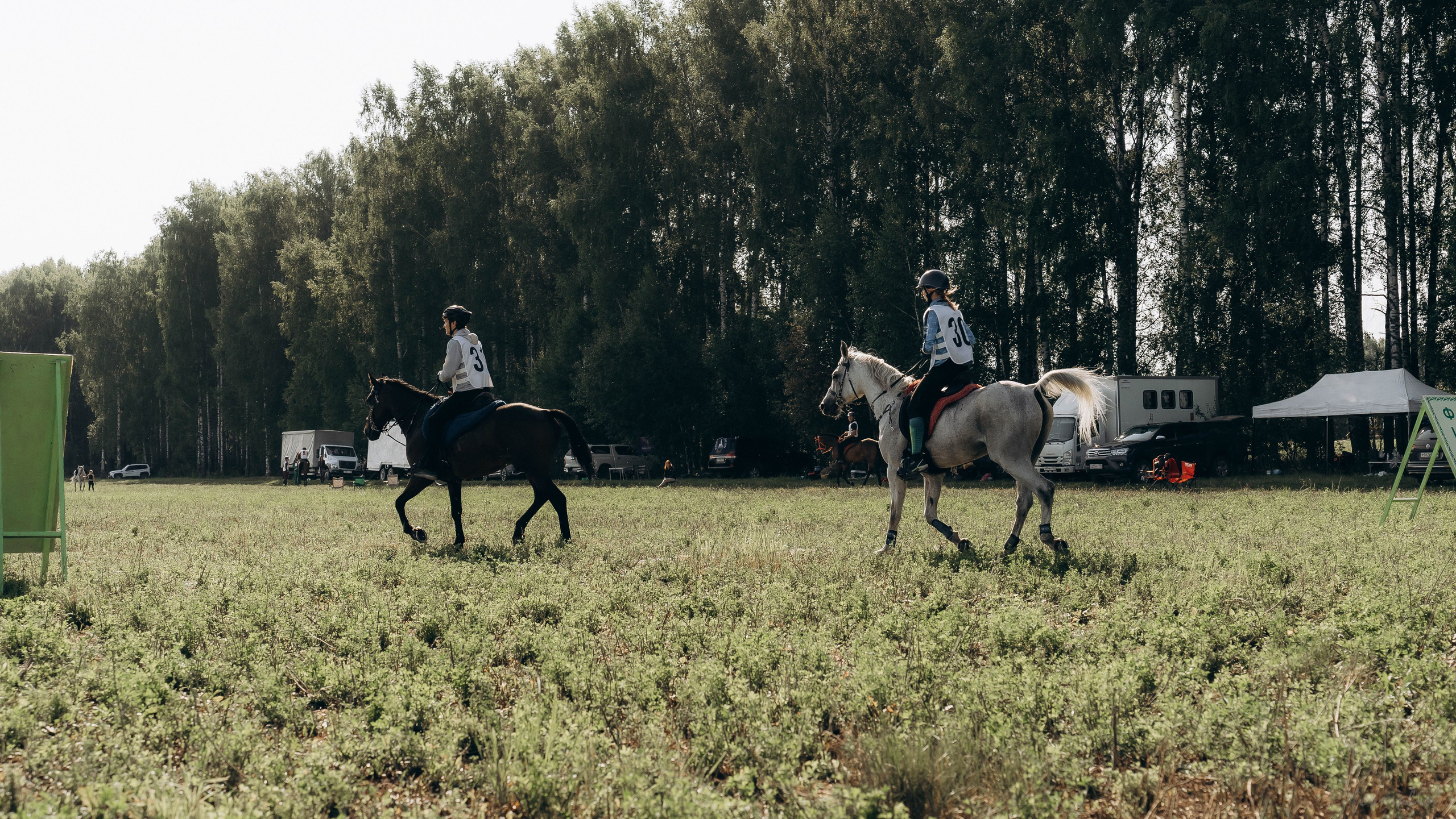 День Коня. Алиса Никитцова | Фотограф в Казани
