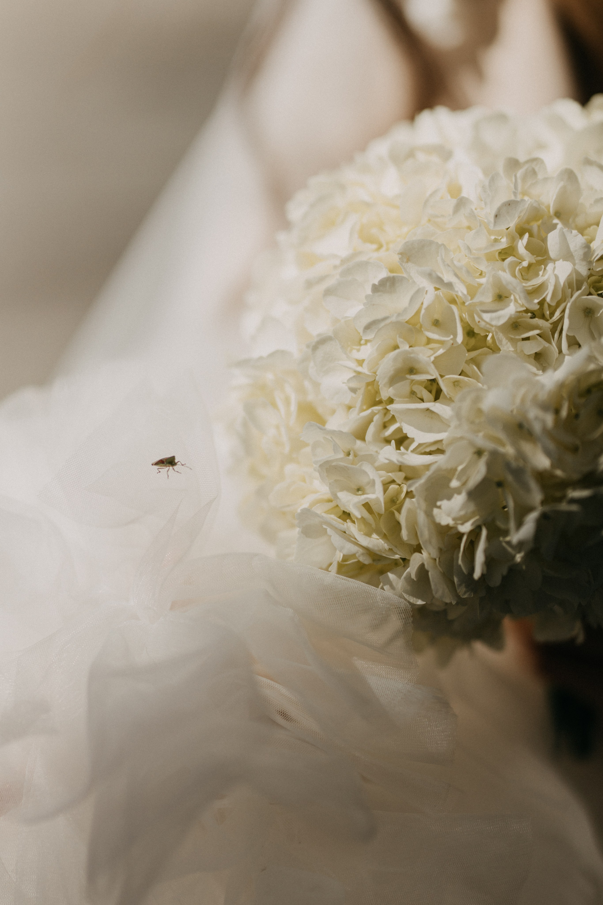 Счастье в тебе (Первый Дворец + прогулка). Фотограф Санкт-Петербург|СПБ|Питер Марина Медведева