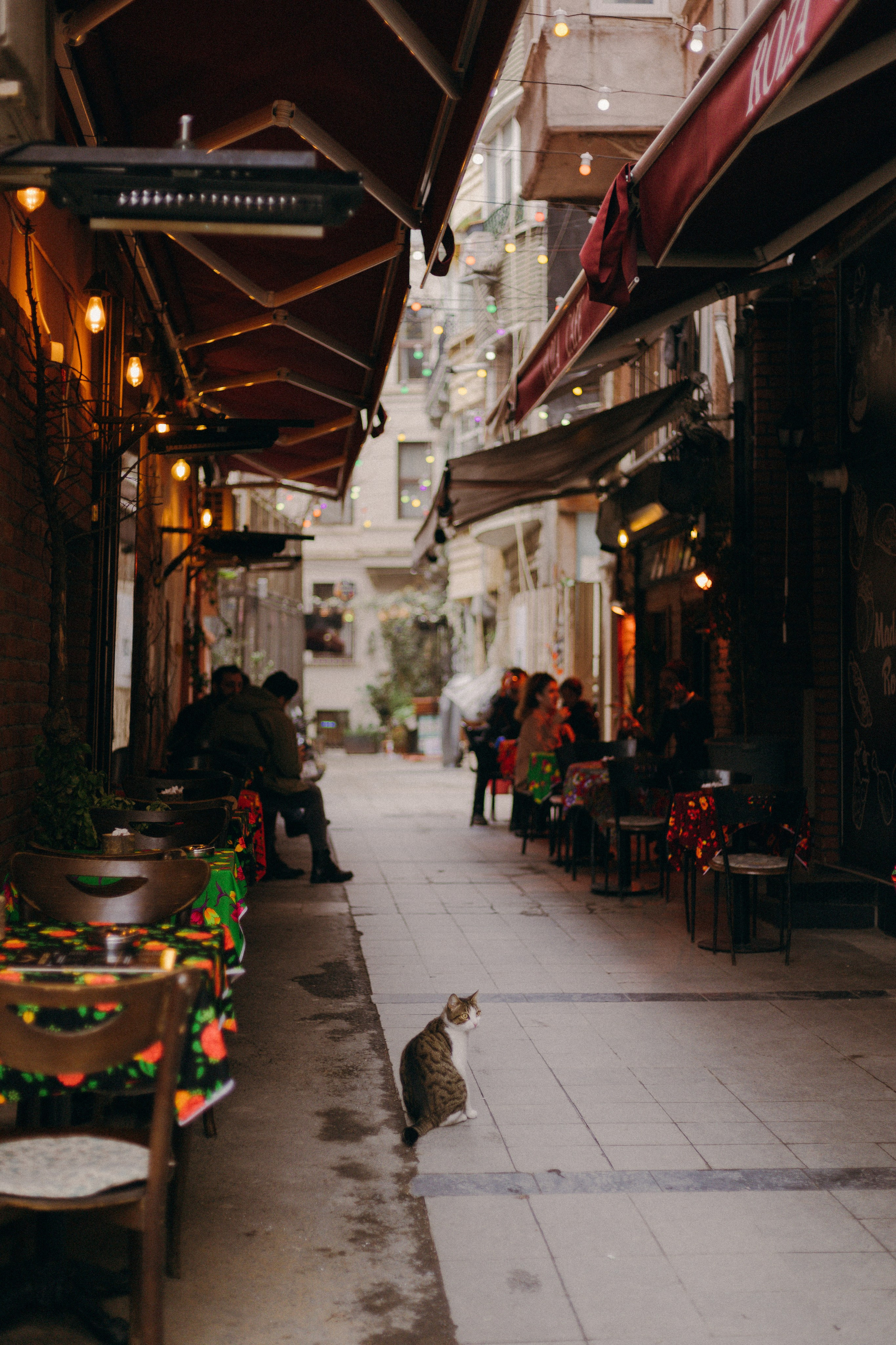 Стамбул. Профессиональный Фотограф во Владимире, в Москве и в Суздале — Полина Романычева