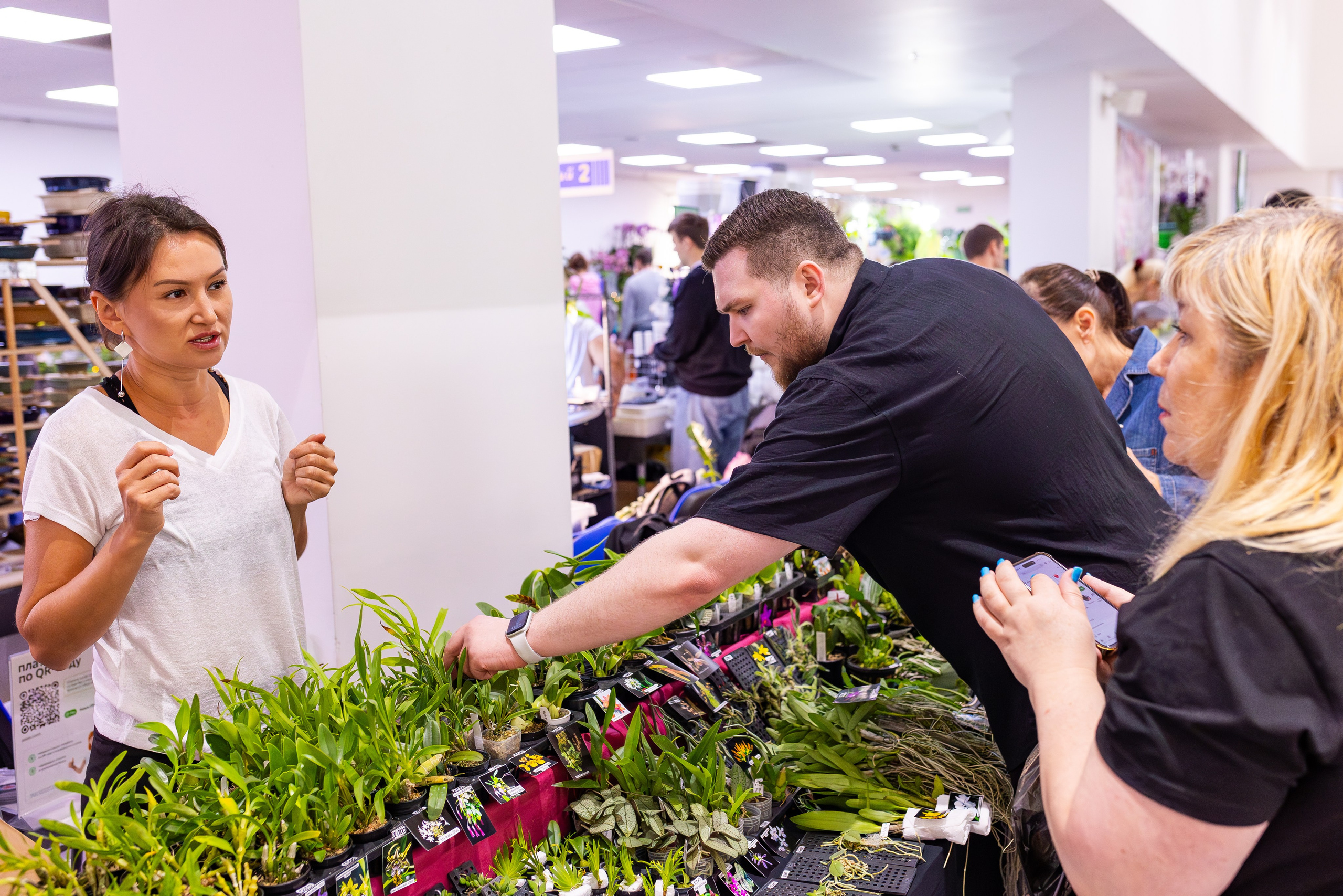 Орхидиум сентябрь 2025. Александра Куликова фотограф, Москва