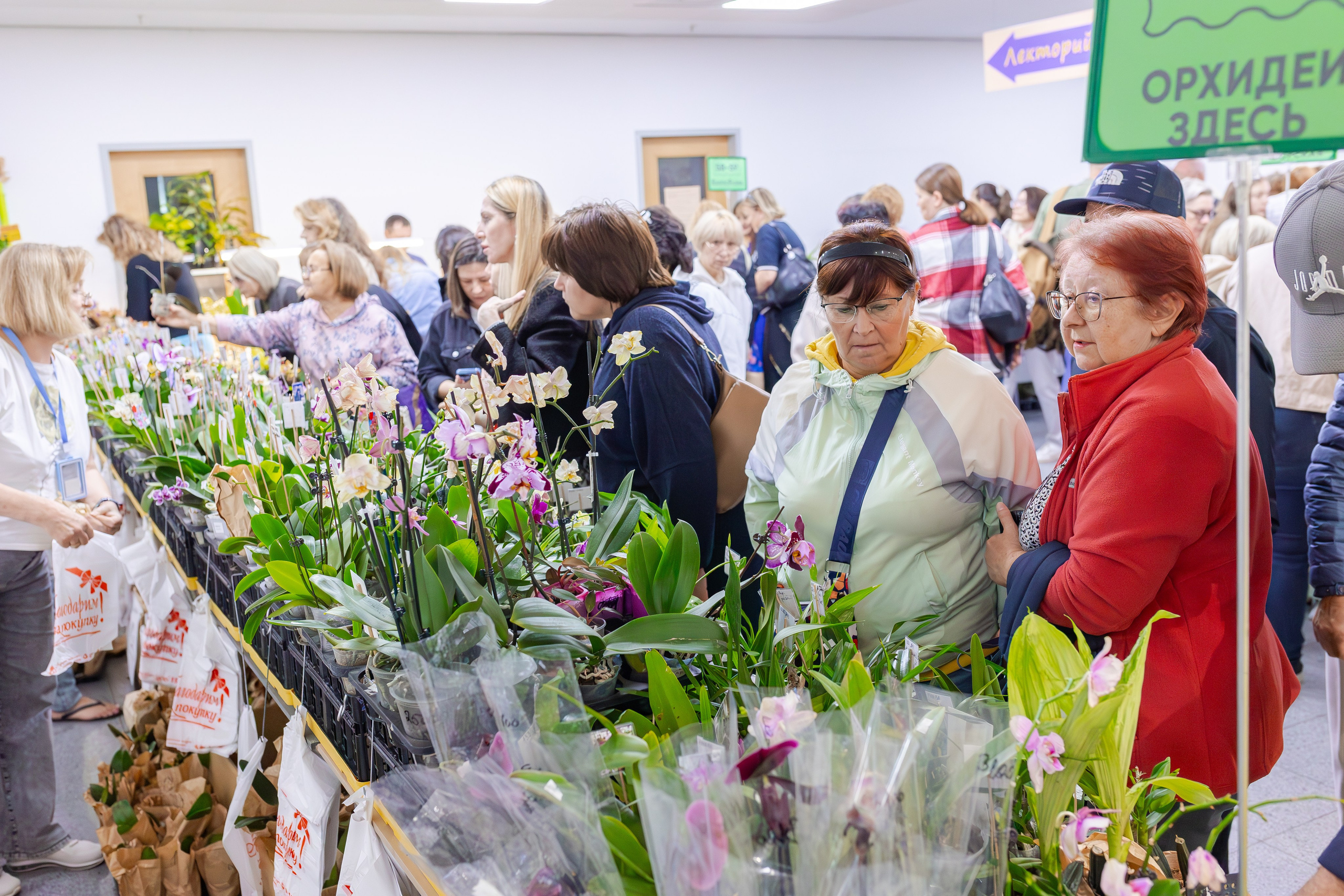 Орхидиум сентябрь 2025. Александра Куликова фотограф, Москва