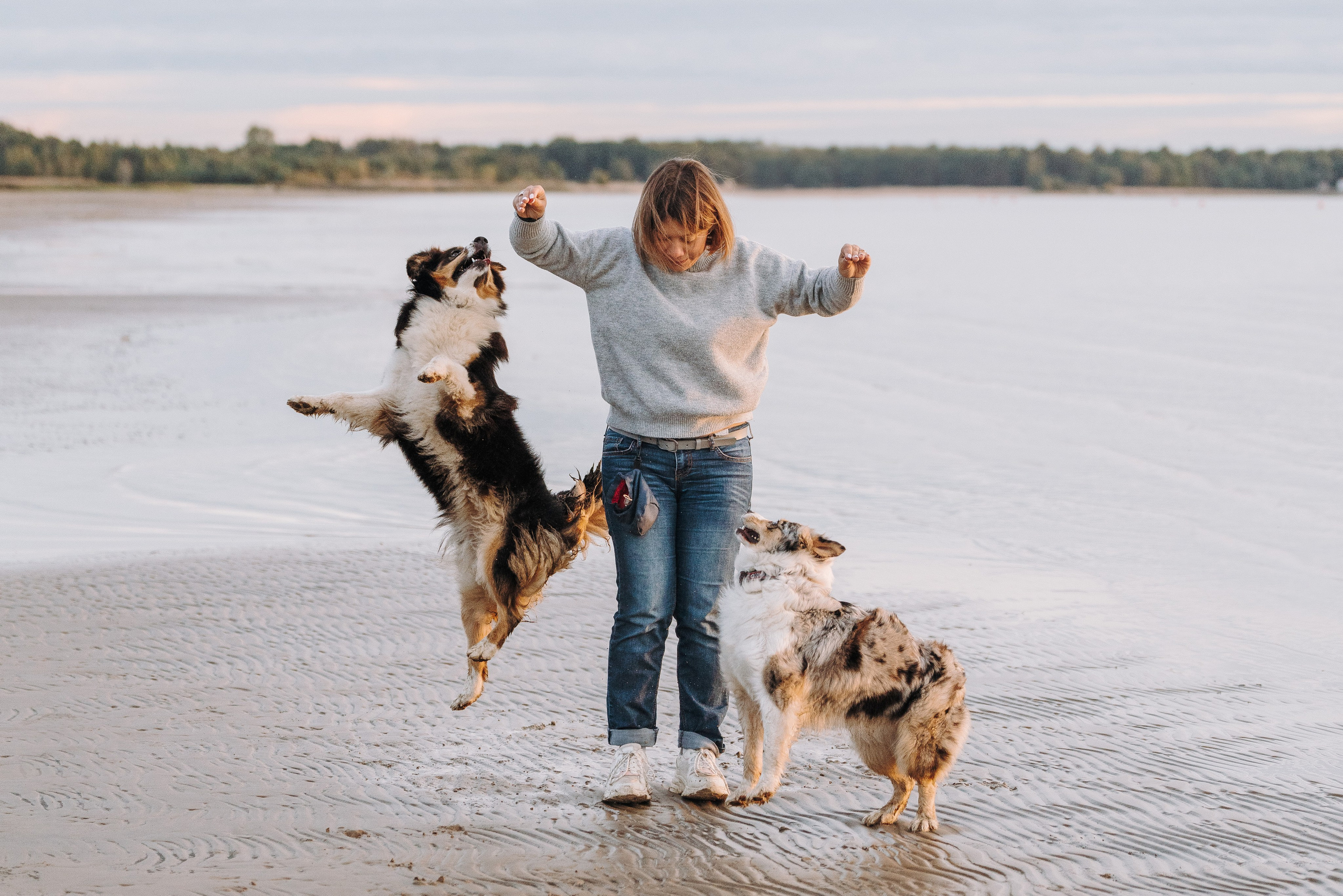 Фотограф анималист в Спб. Фотограф анималист в Спб недорого Олеся Майорова