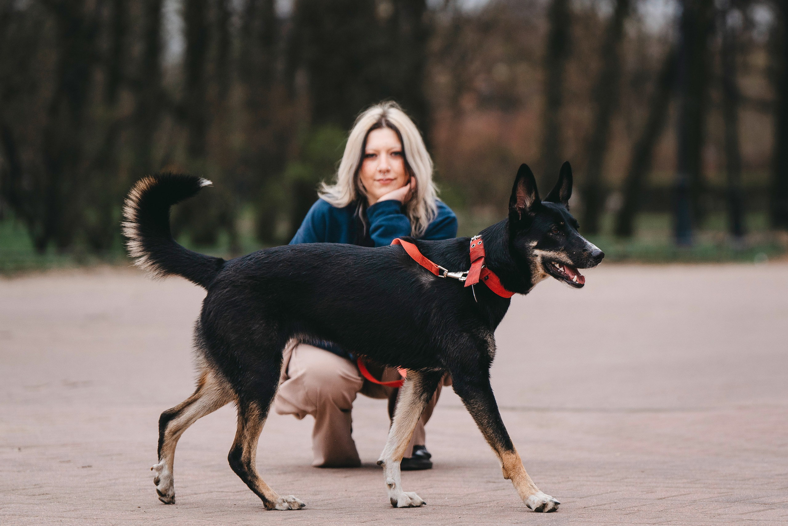Эля и Шиза. Фотограф анималист в Спб недорого Олеся Майорова