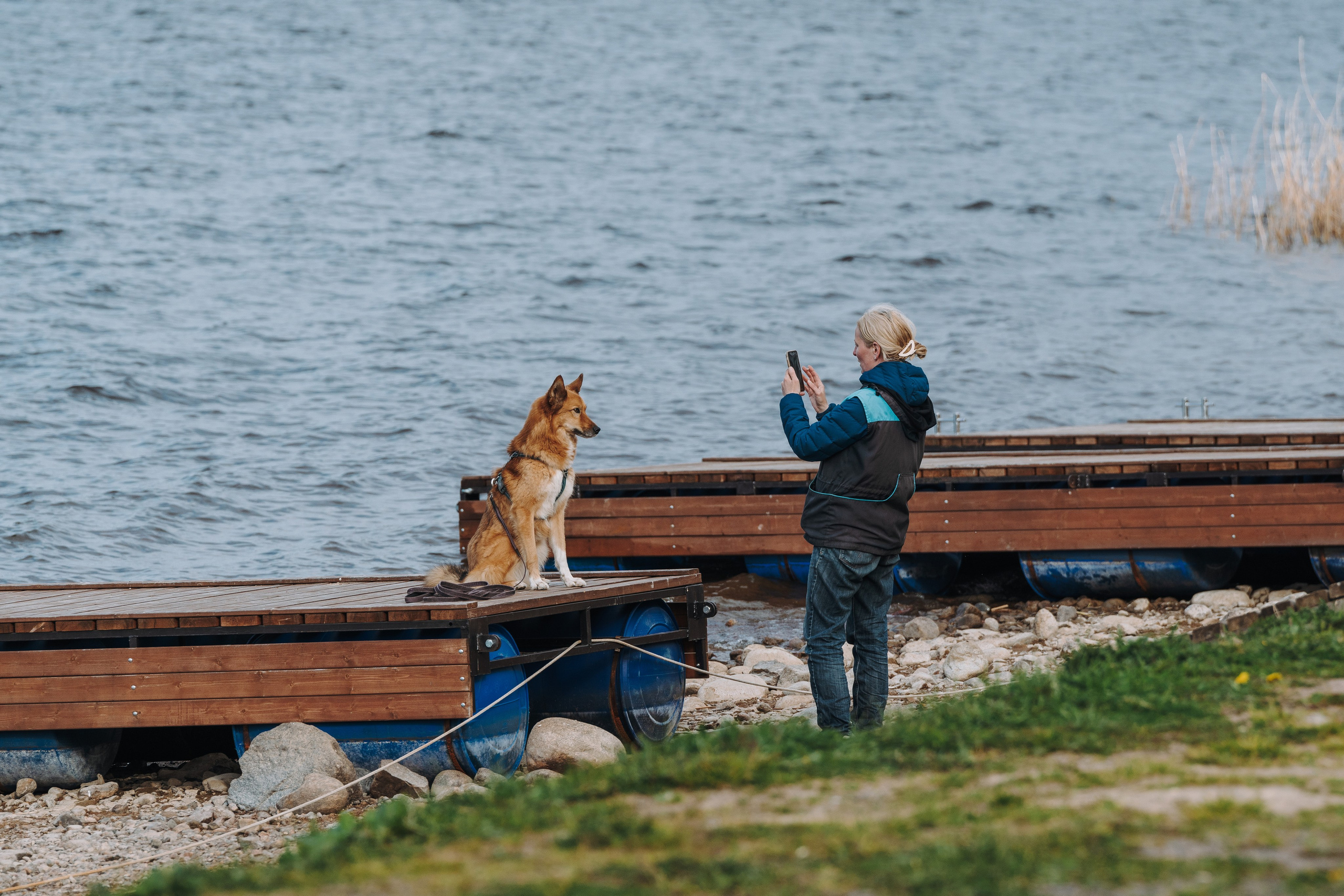 Соревнования по ноузворку в Лосево. Фотограф анималист в Спб недорого Олеся Майорова