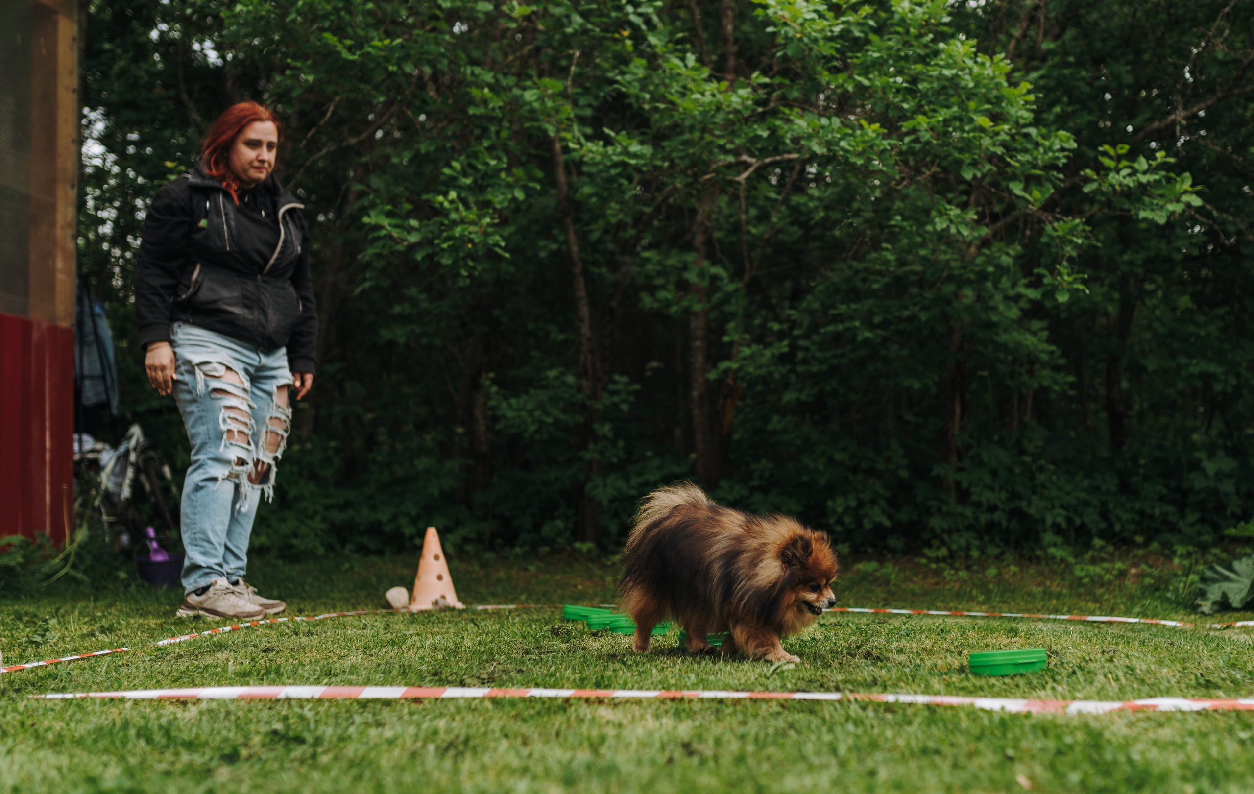 Соревнования по ноузворку. Фотограф анималист в Спб недорого Олеся Майорова