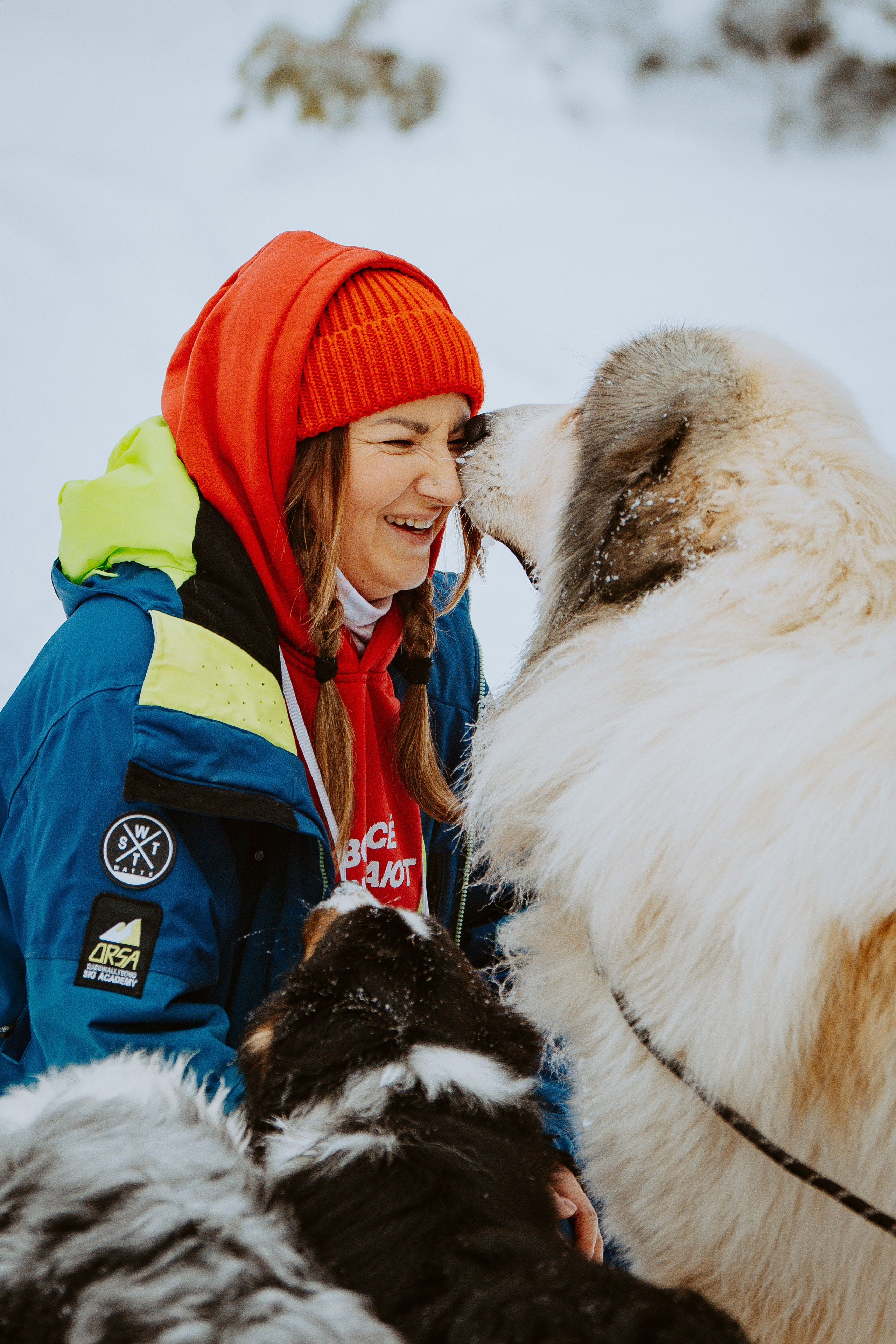 Дог трекинг. Фотограф анималист в Спб недорого Олеся Майорова