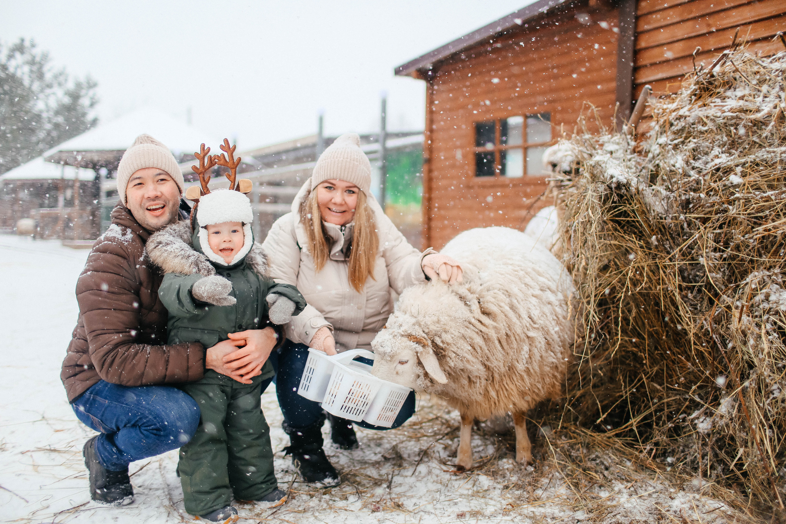 Новогодняя фотосессия на Ранчо с северным оленем. Твой снимок СПб