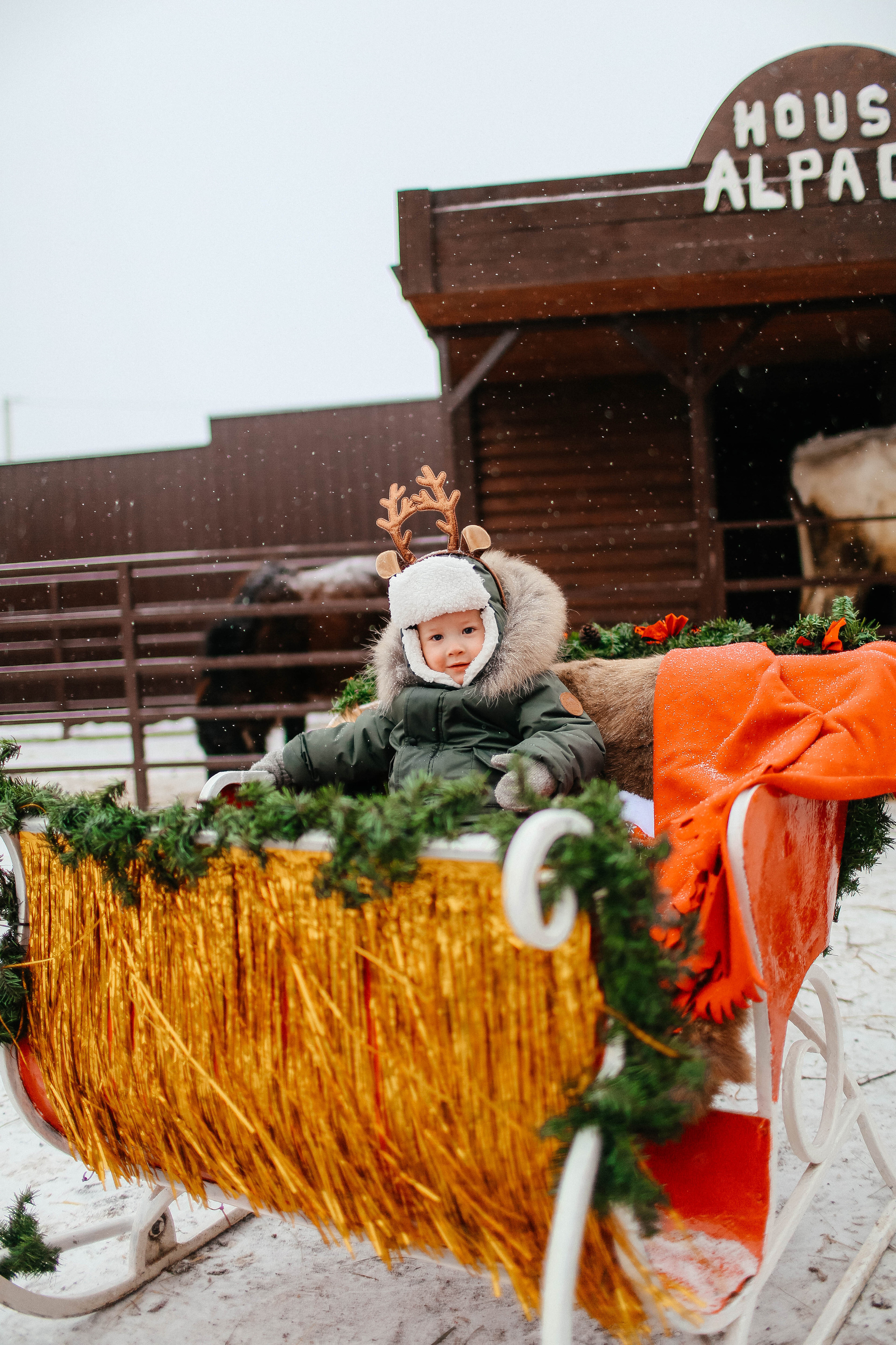 Новогодняя фотосессия на Ранчо с северным оленем. Твой снимок СПб