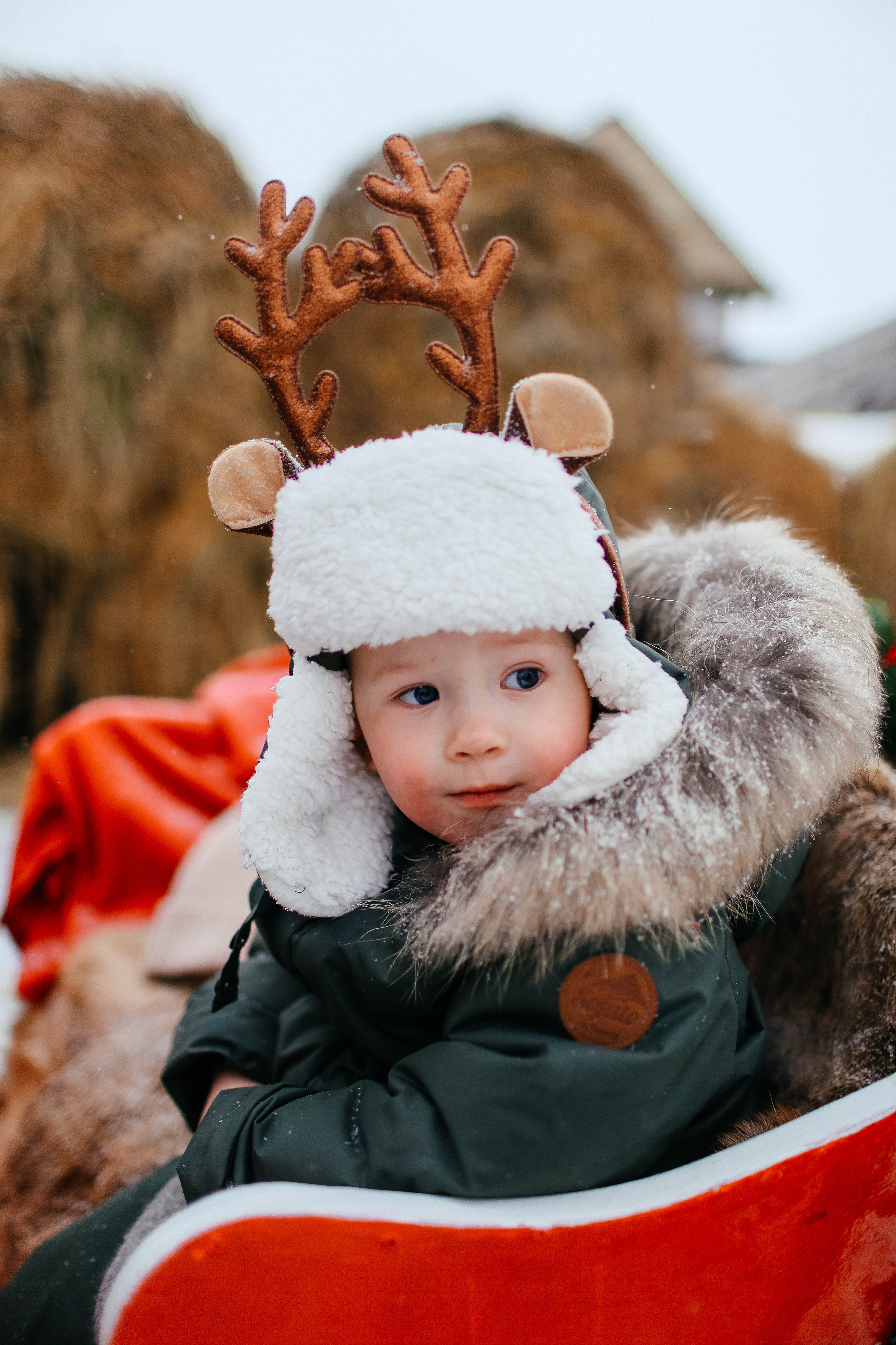 Новогодняя фотосессия на Ранчо с северным оленем. Твой снимок СПб