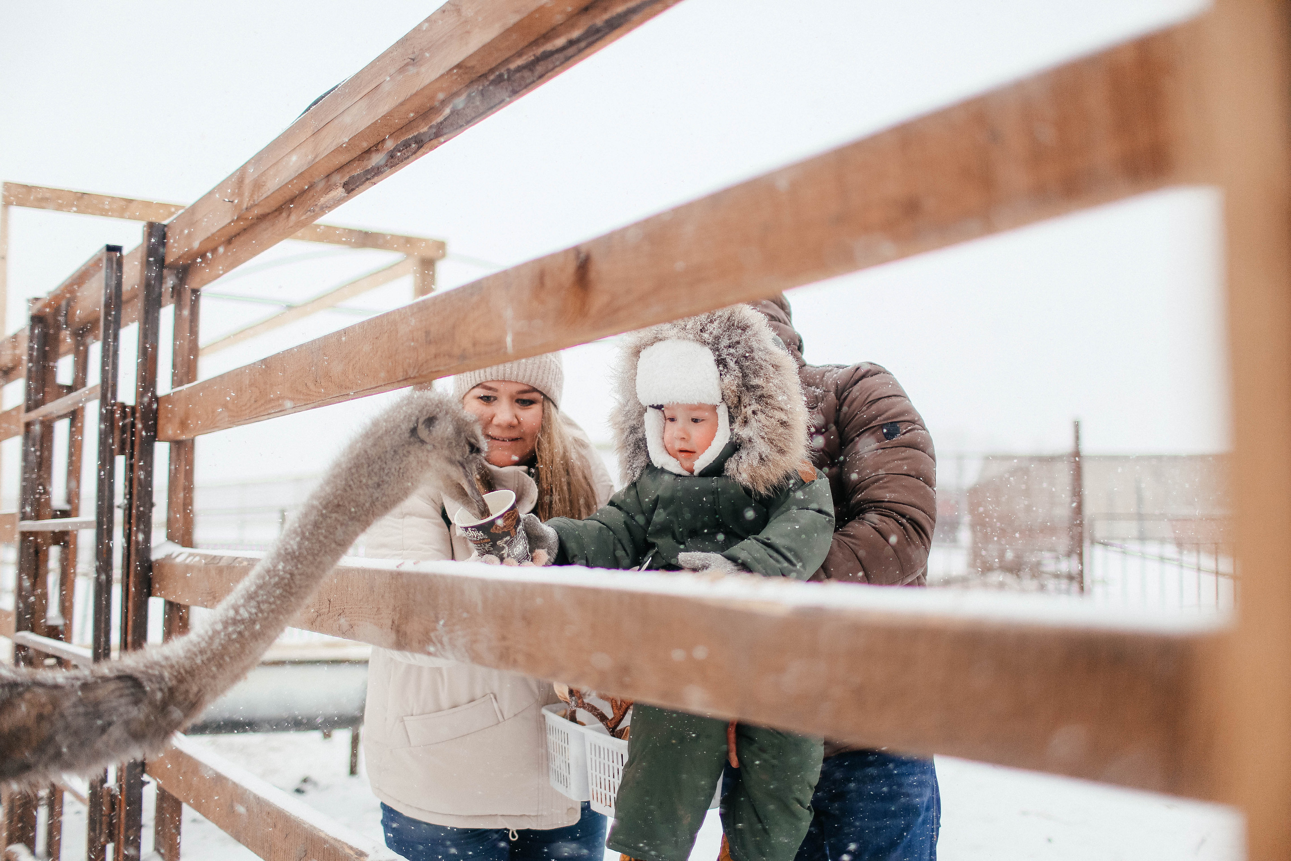 Новогодняя фотосессия на Ранчо с северным оленем. Твой снимок СПб