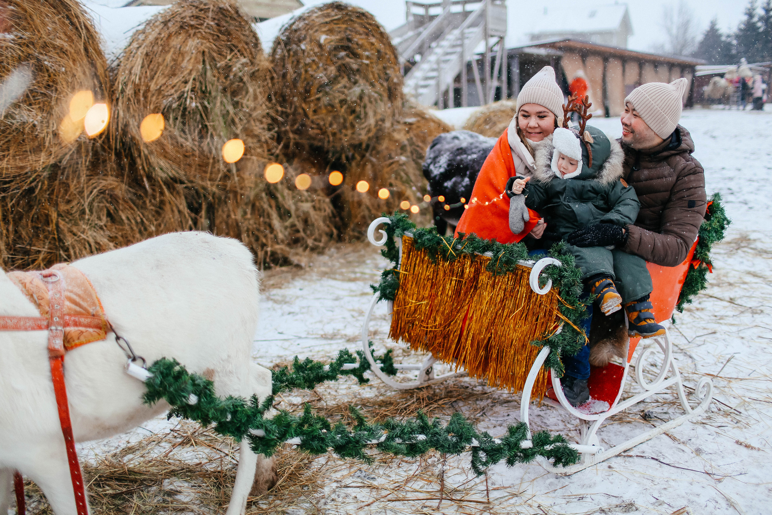 Новогодняя фотосессия на Ранчо с северным оленем. Твой снимок СПб