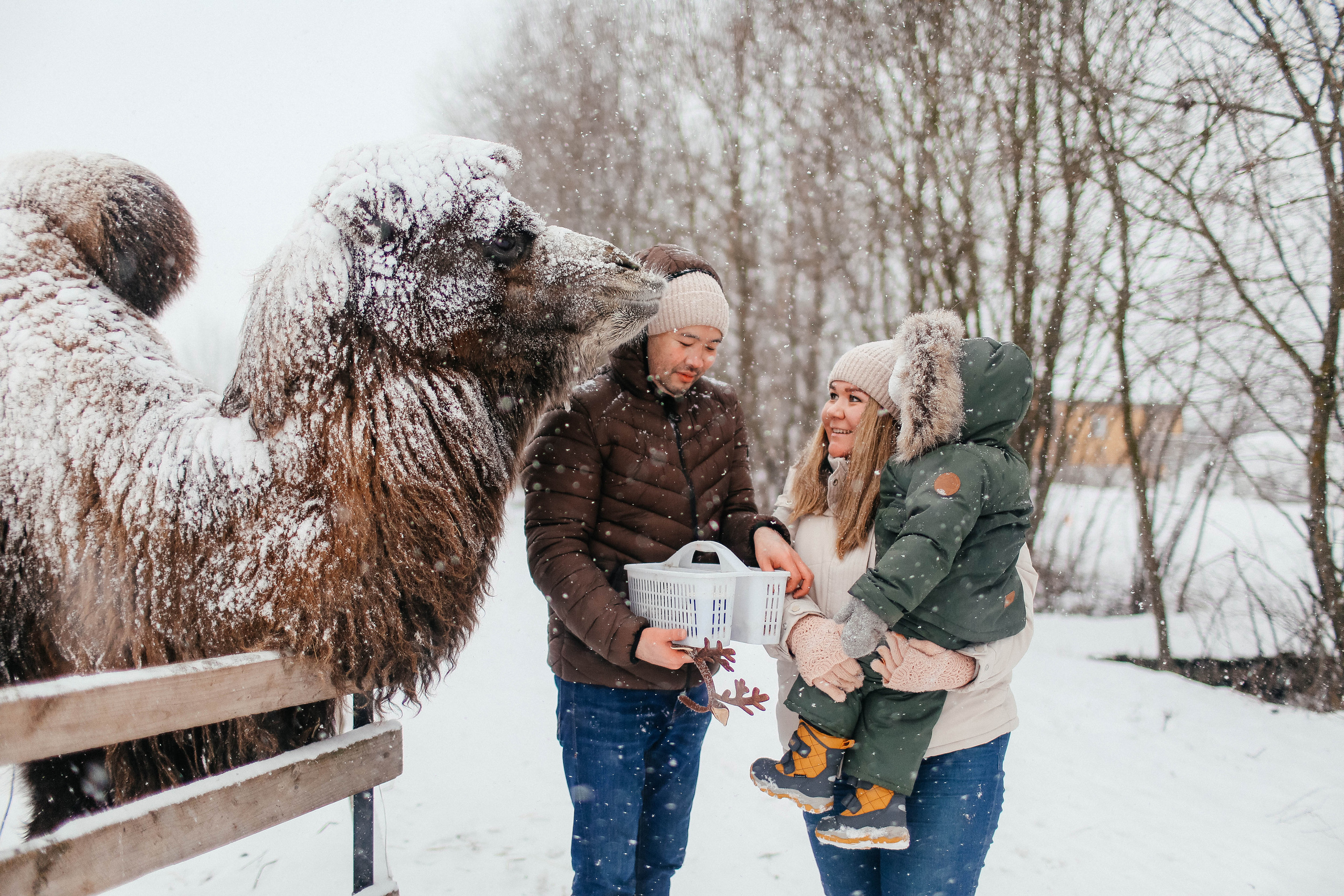 Новогодняя фотосессия на Ранчо с северным оленем. Твой снимок СПб
