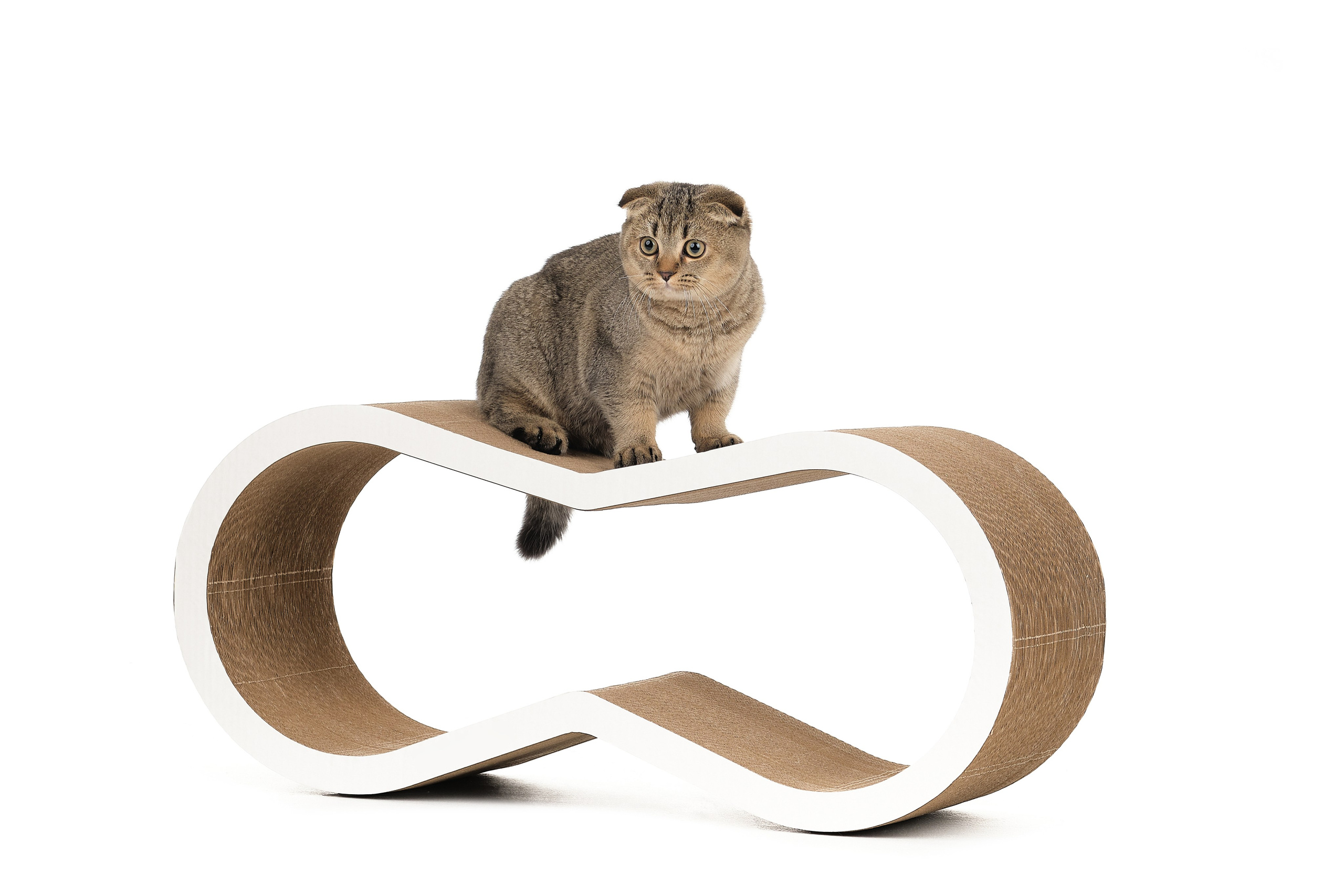 Каталожная съемка. Фотостудия КВАДРАТ