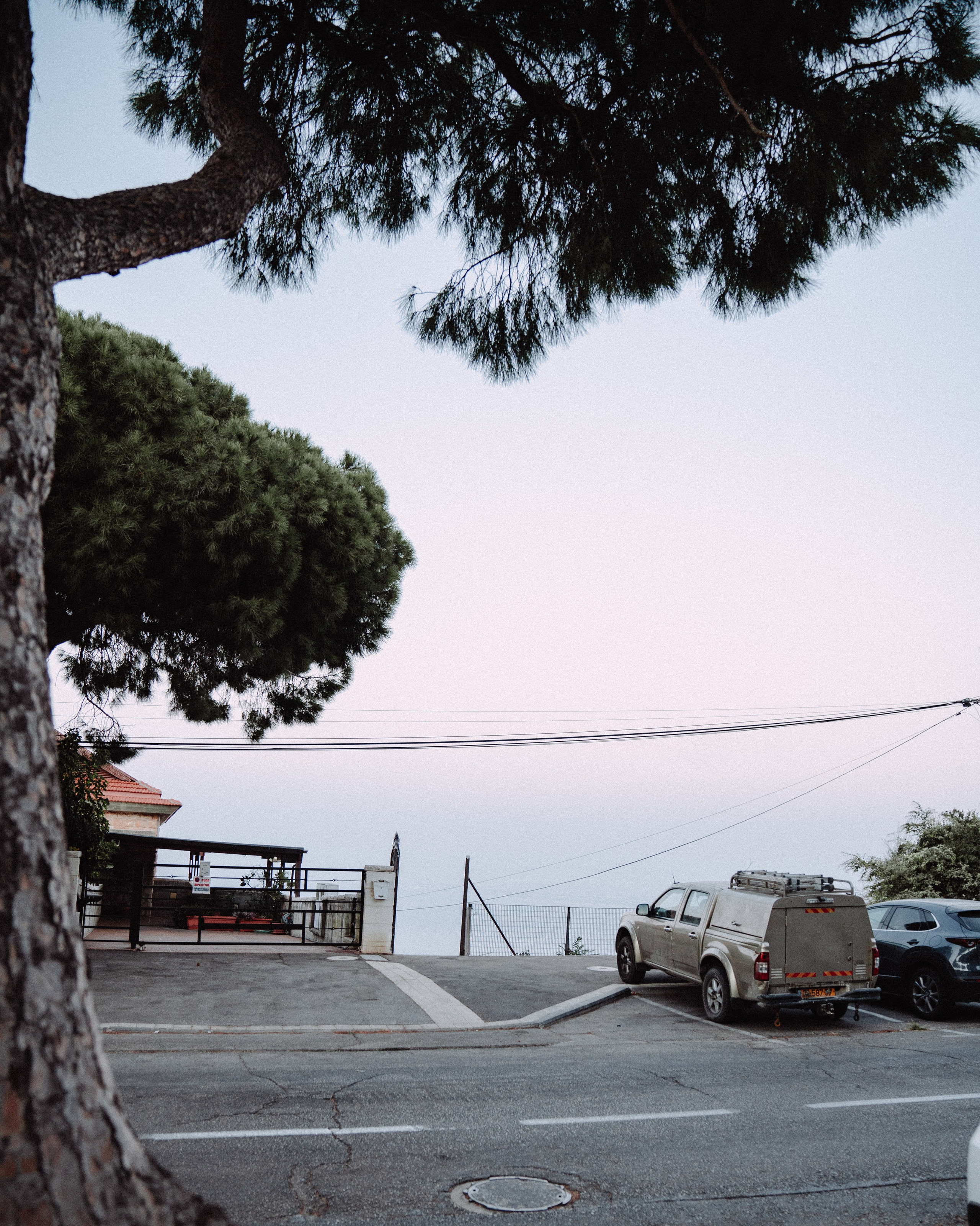 В цветущем саду. Портретный и свадебный фотограф в Москве Финкельштенй Анна