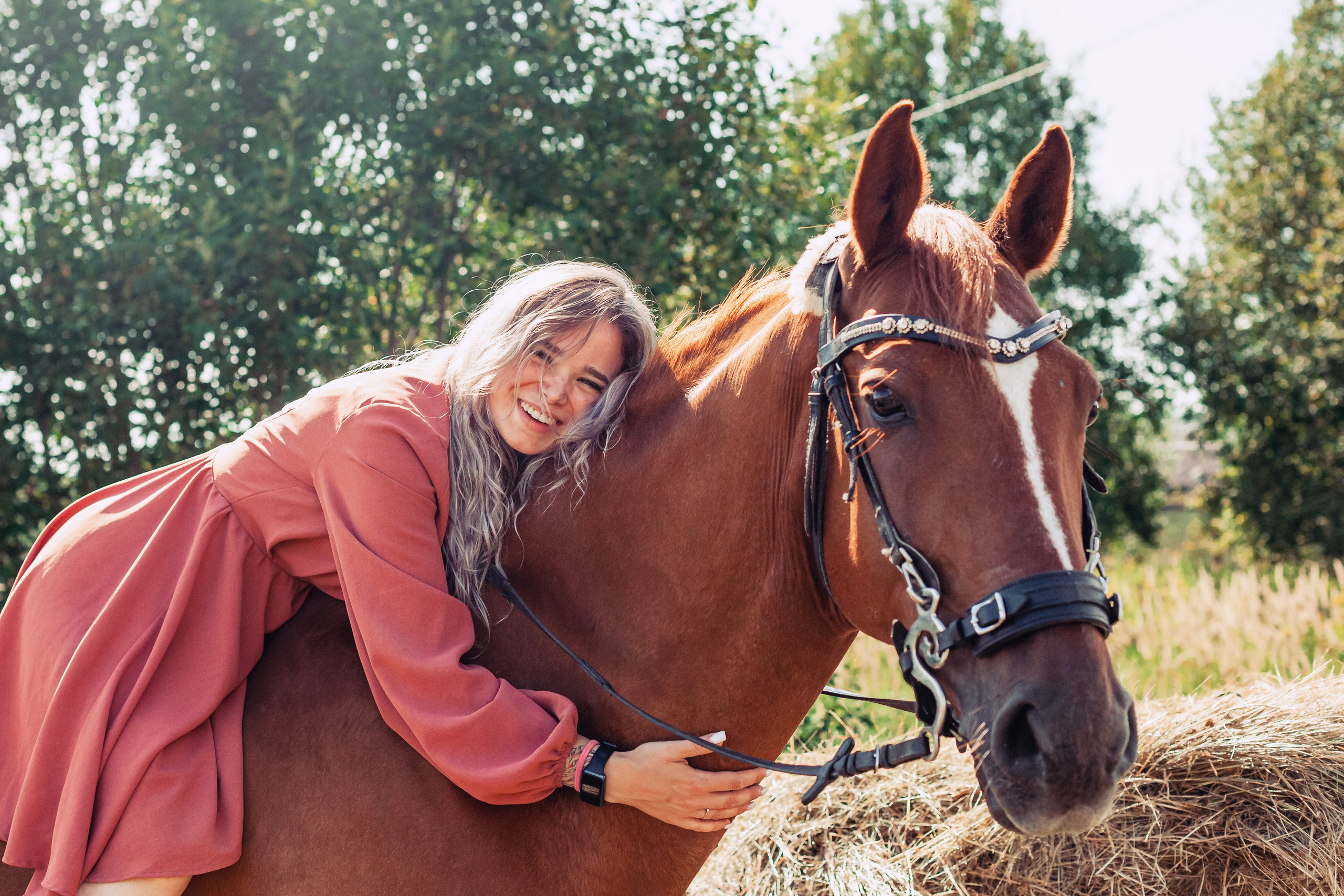 Экспресс фотопрогулка на конюшне. Фотограф-анималист Татьяна Степанова