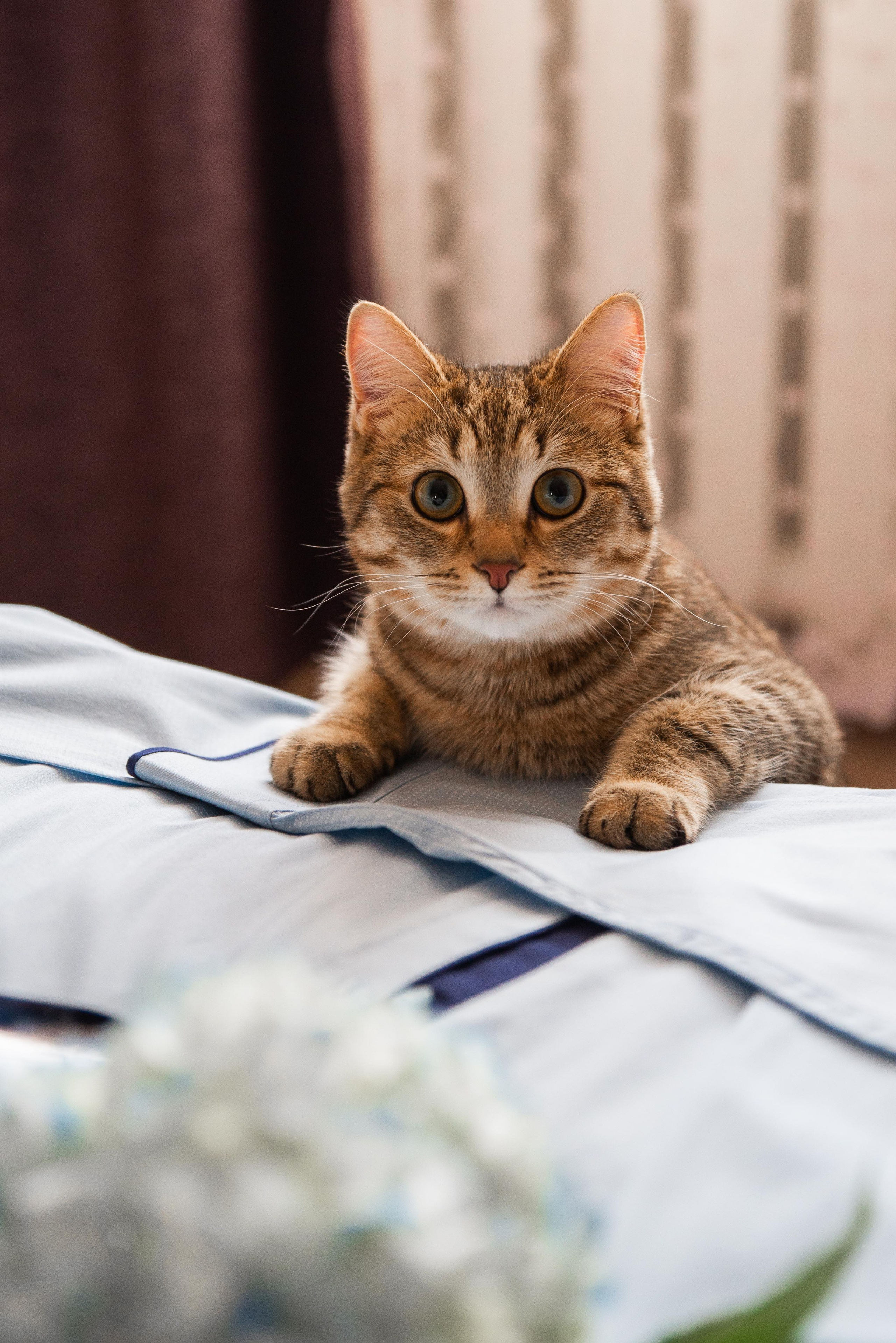 Свадьба Стаса и Елены. Свадебный, семейный, репортажный фотограф в Перми и крае Таня Белая