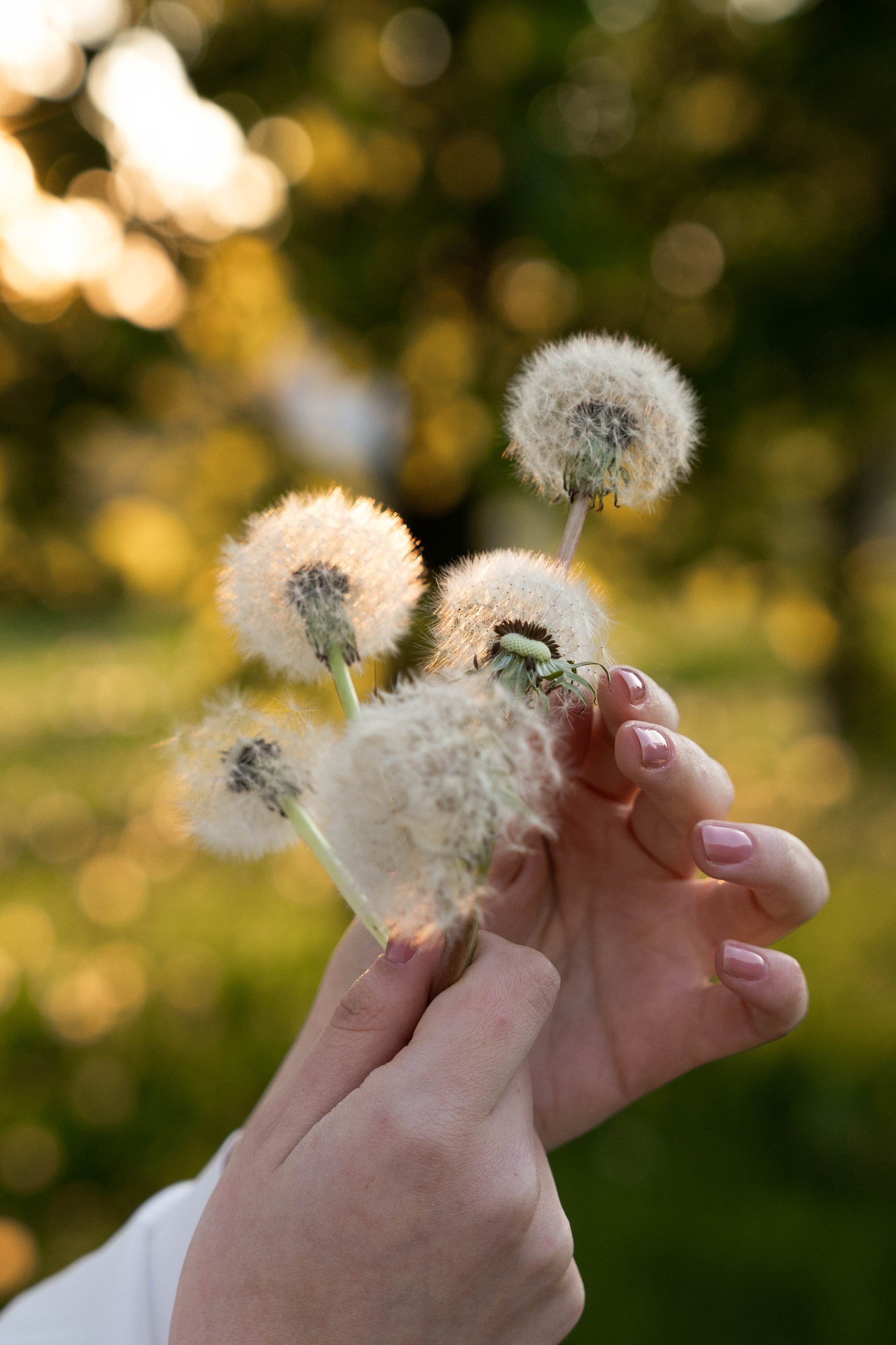 Индивидуальная портретная фотосессия Санкт-Петербург. Портретный фотограф Цыкунова Яна Санкт-Петербург
