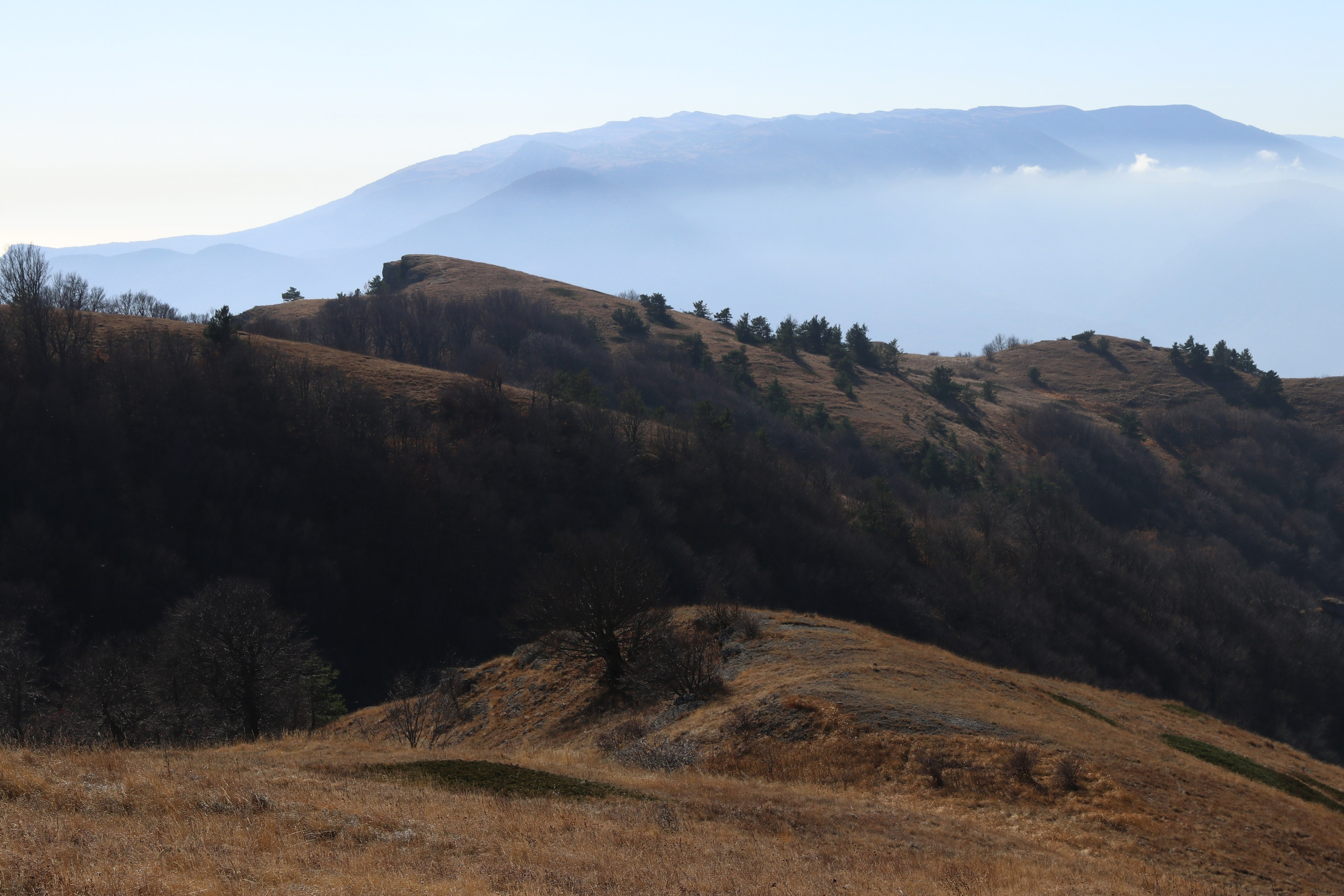 Крым. ЮБК (Гурзуф, Судак и их окрестности). Ноябрь 2023. Путешественник-фотограф из Санкт-Петербурга Татьяна Свистулина