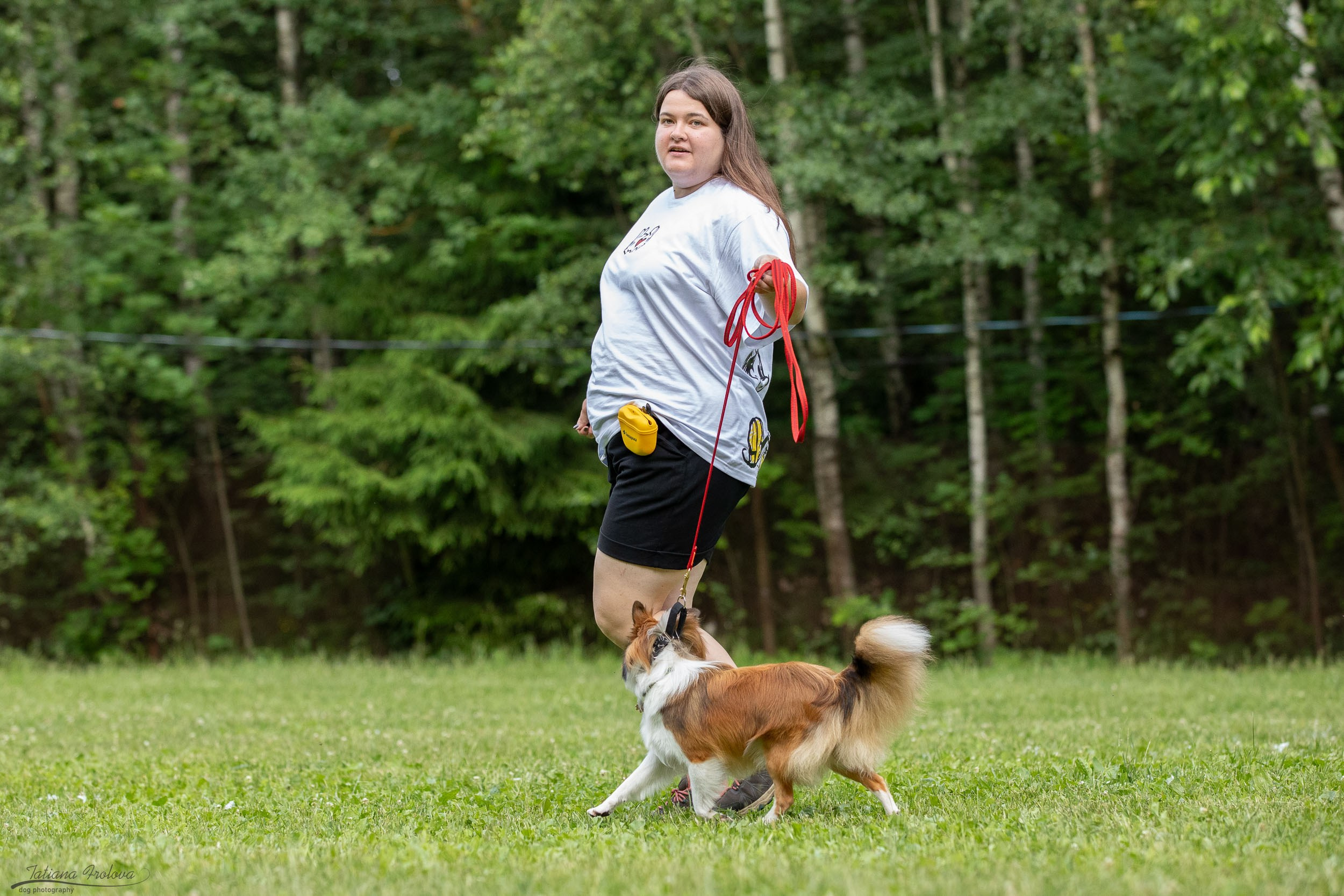 Репортаж с выводки молодняка колли/шелти в Ясенево. Фотограф-анималист в Москве и Московской области Татьяна Фролова