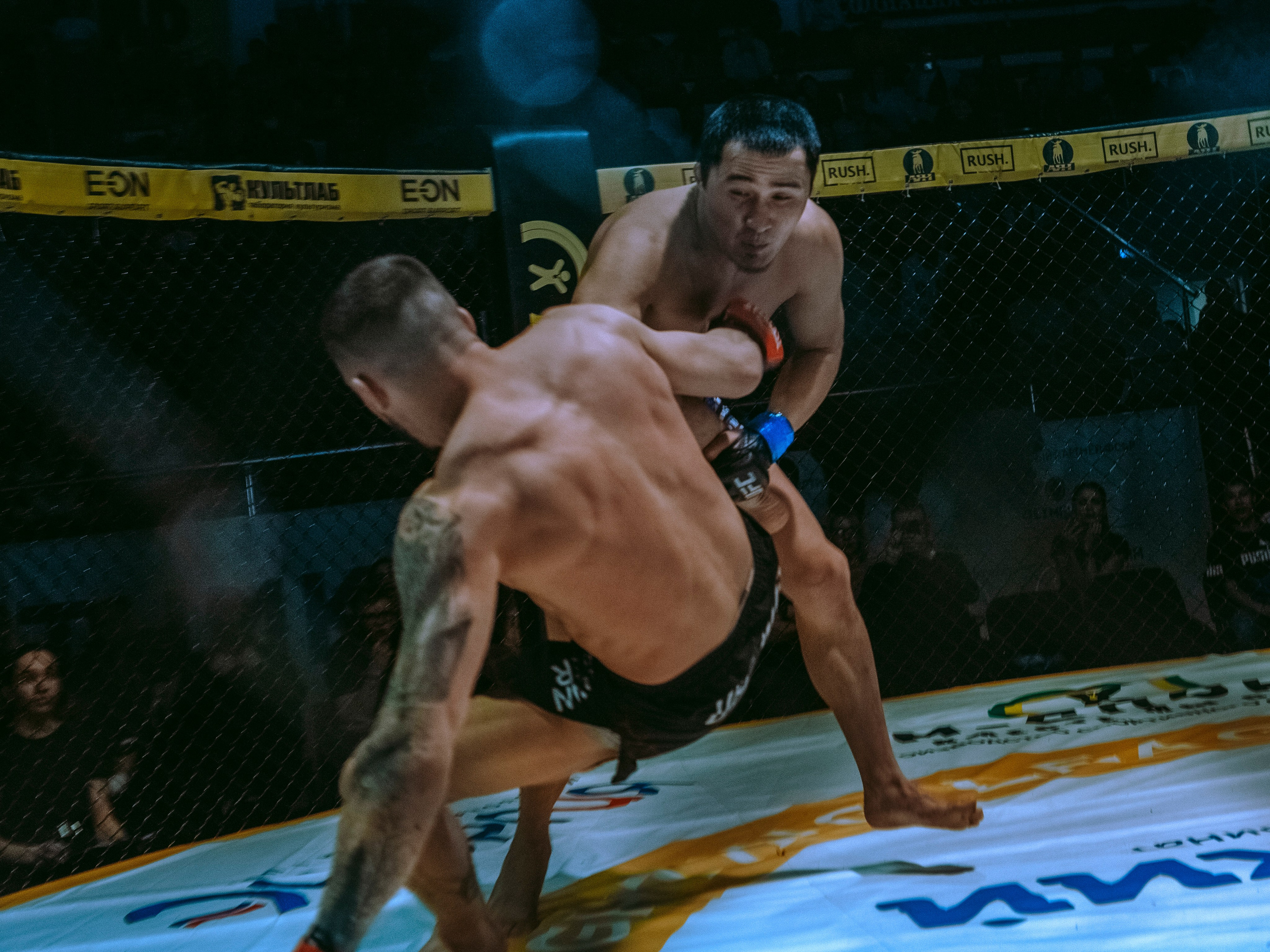 SFL 17 | Siberian Fighting League. Портретный фотограф в Москве Дарья Цезария