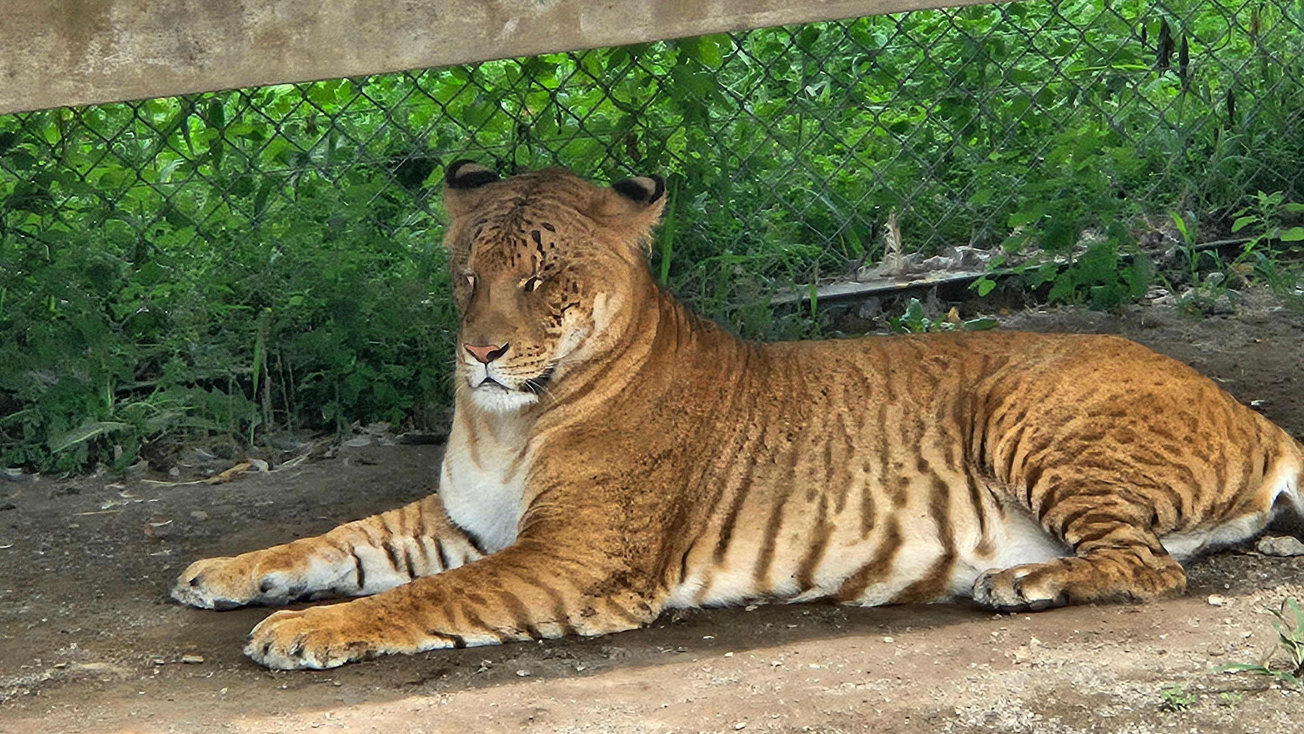 Китай. Июль 2025