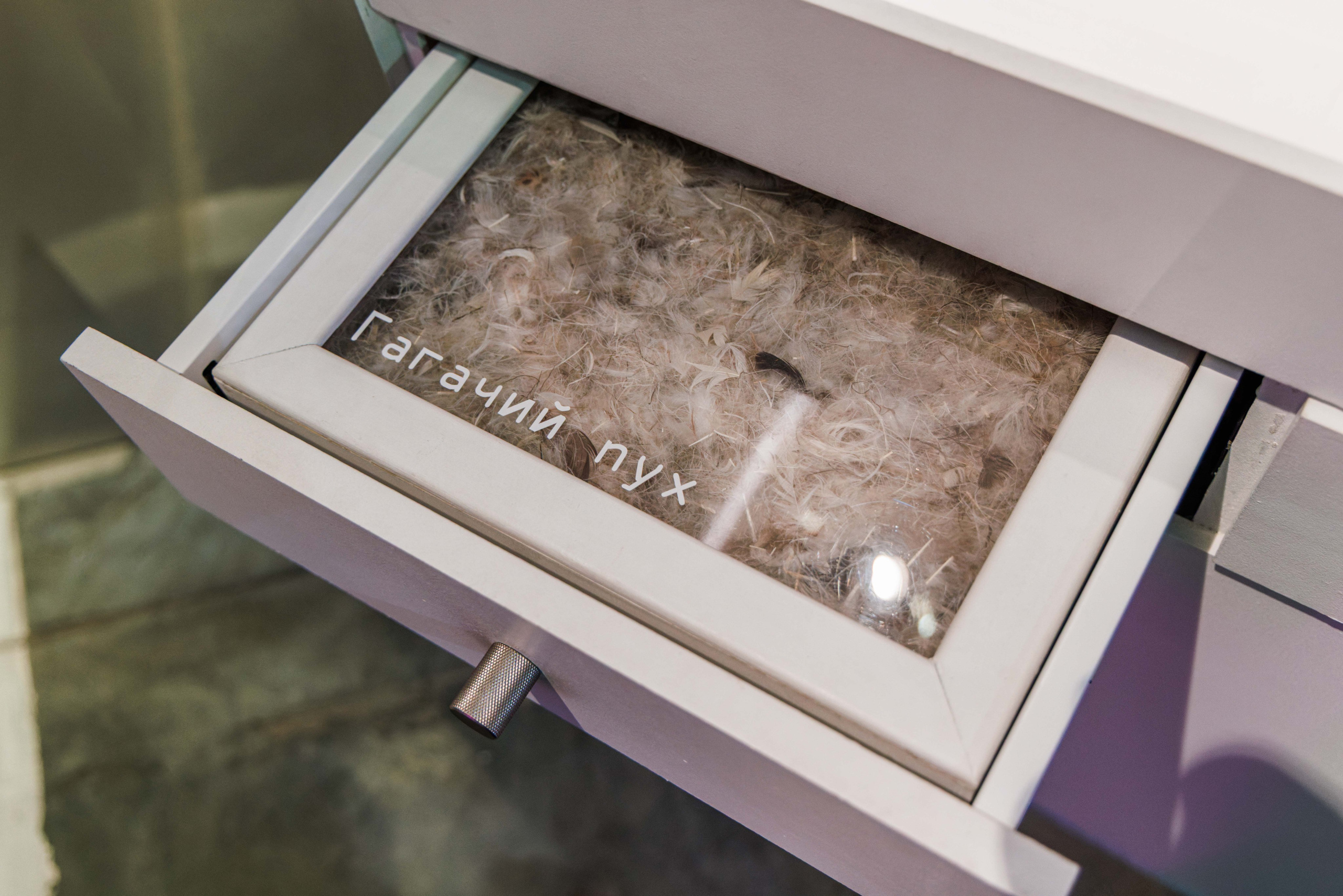 Лед. Жизнь — познавательно-развлекательная выставка. Фотограф Балаев Михаил