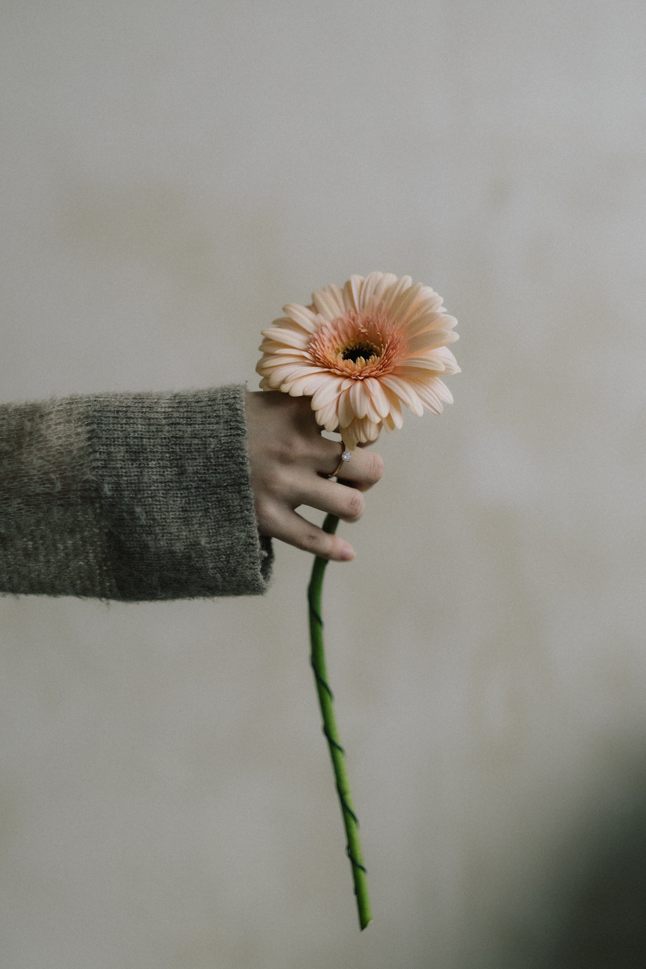 Маша. Фотограф в Санкт-Петербурге