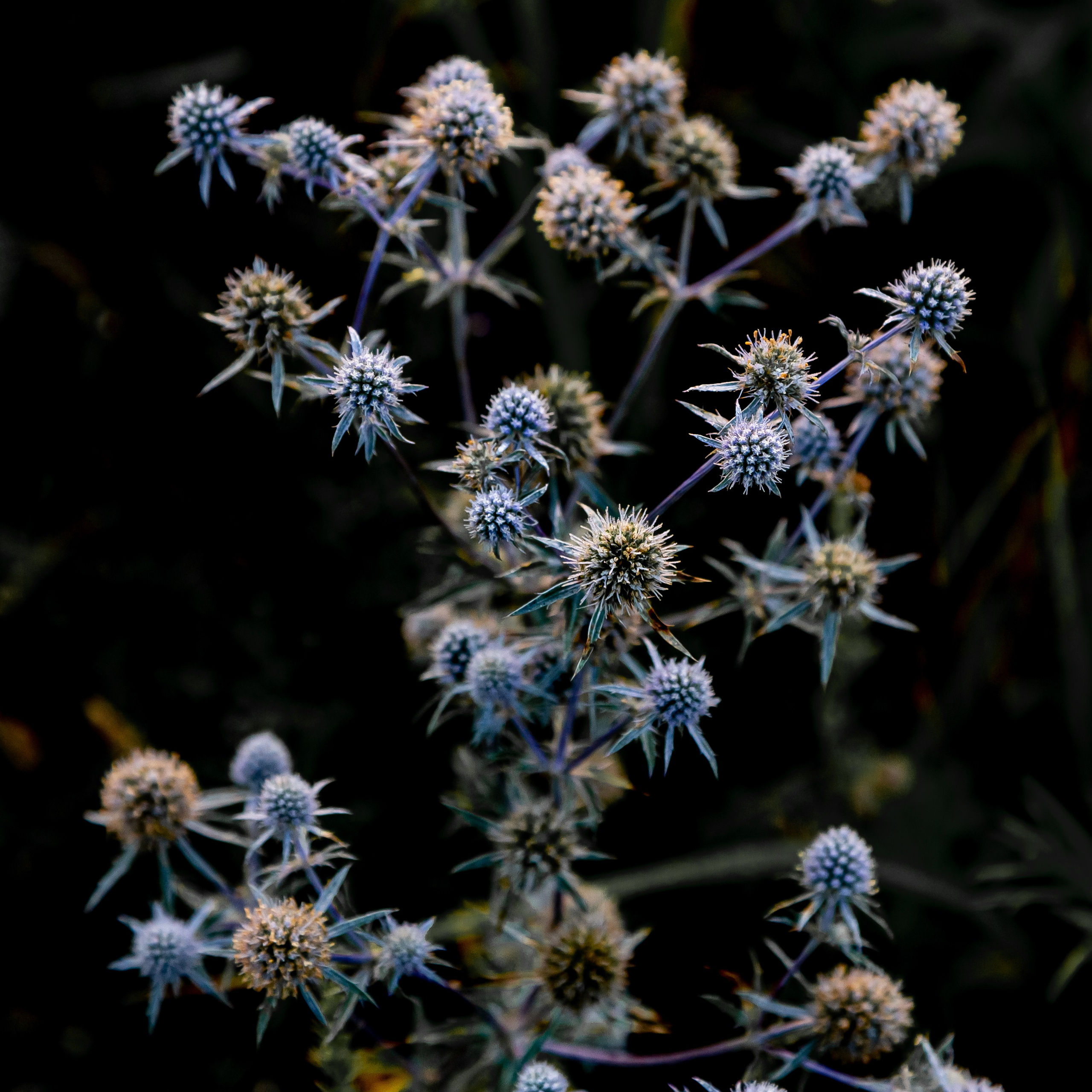 Пейзаж. OneSnap