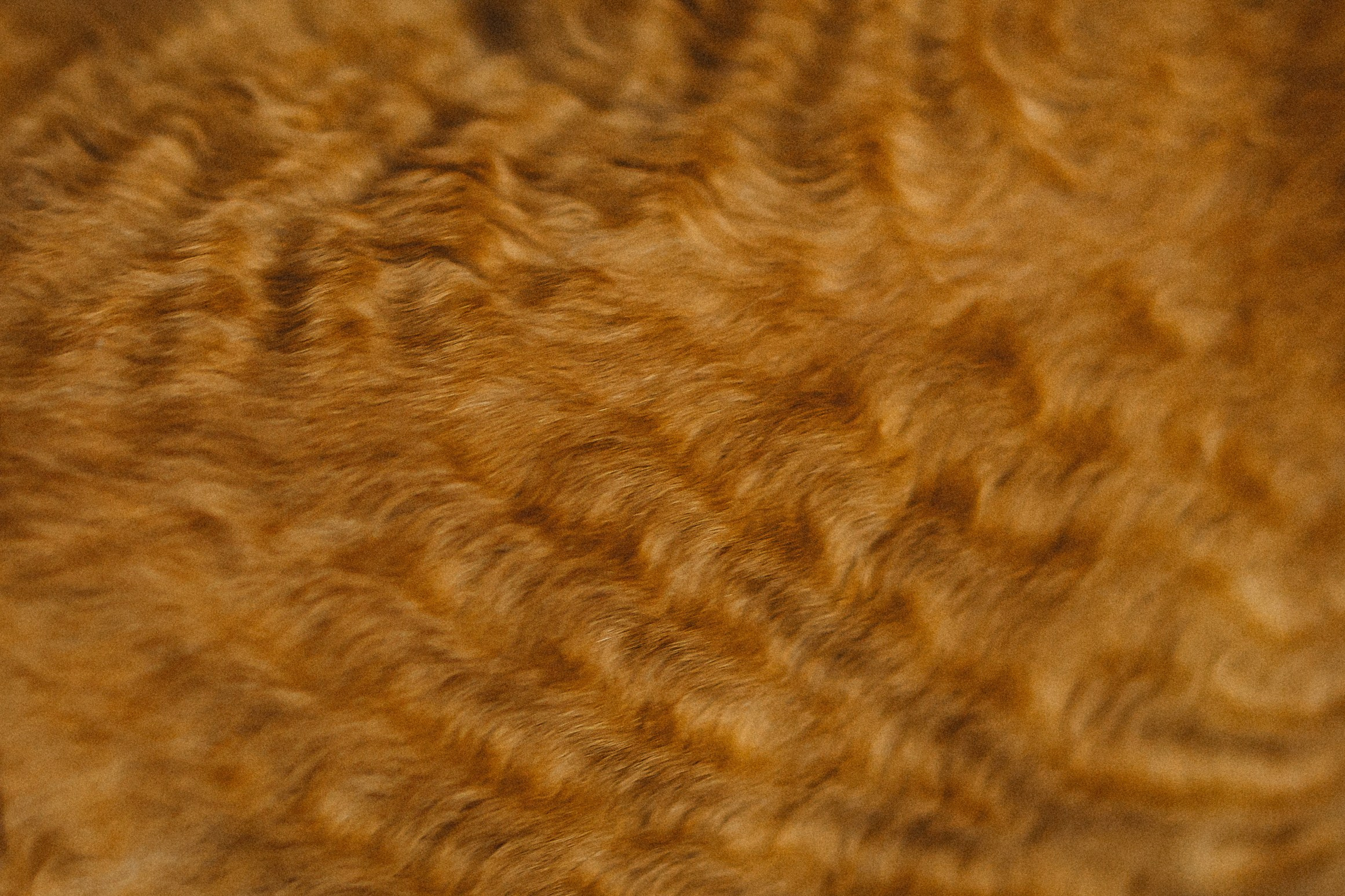 Гречка, Ковш и их семья