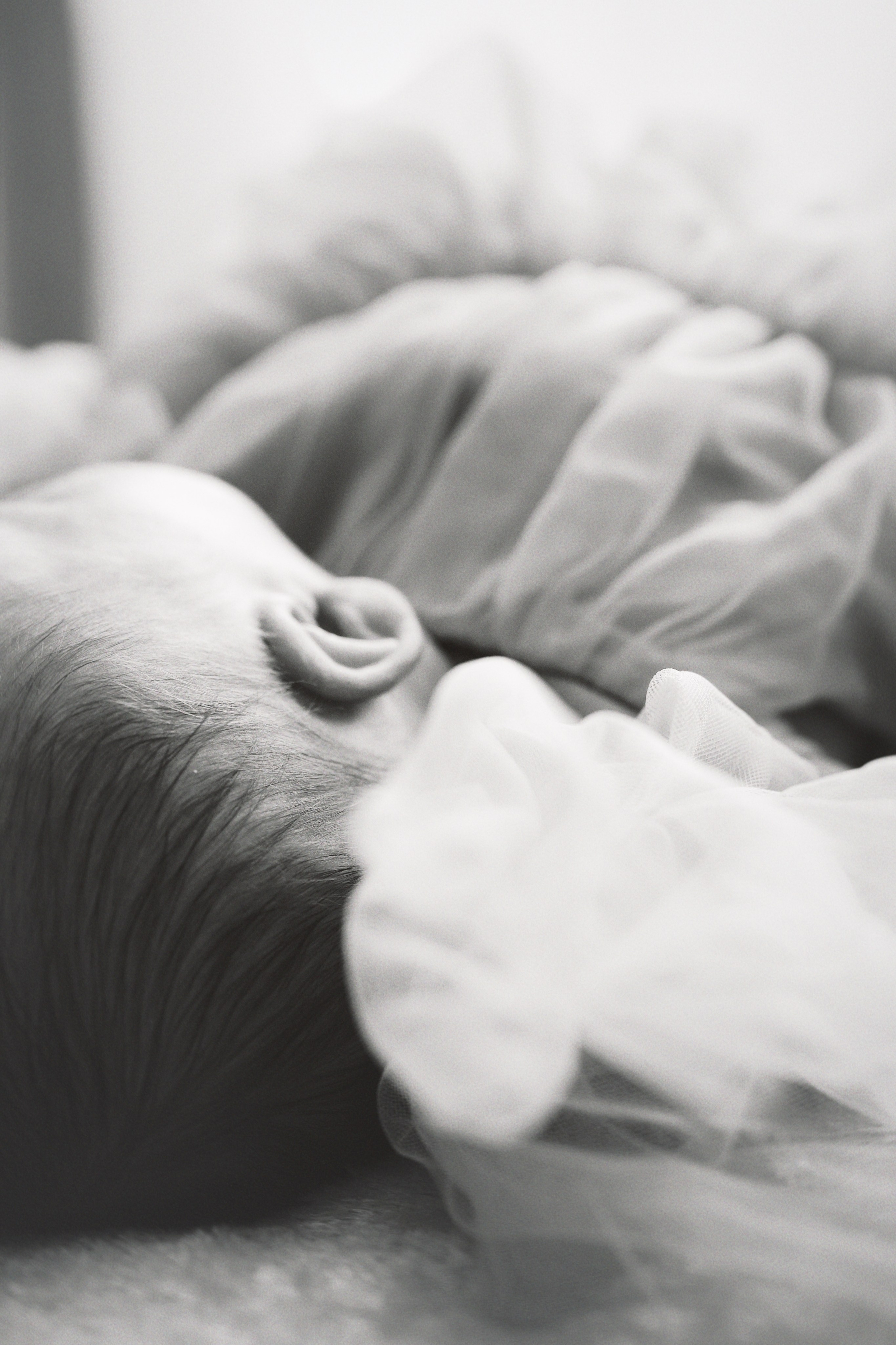 Маленькая Амелия и ее большая семья. Главная