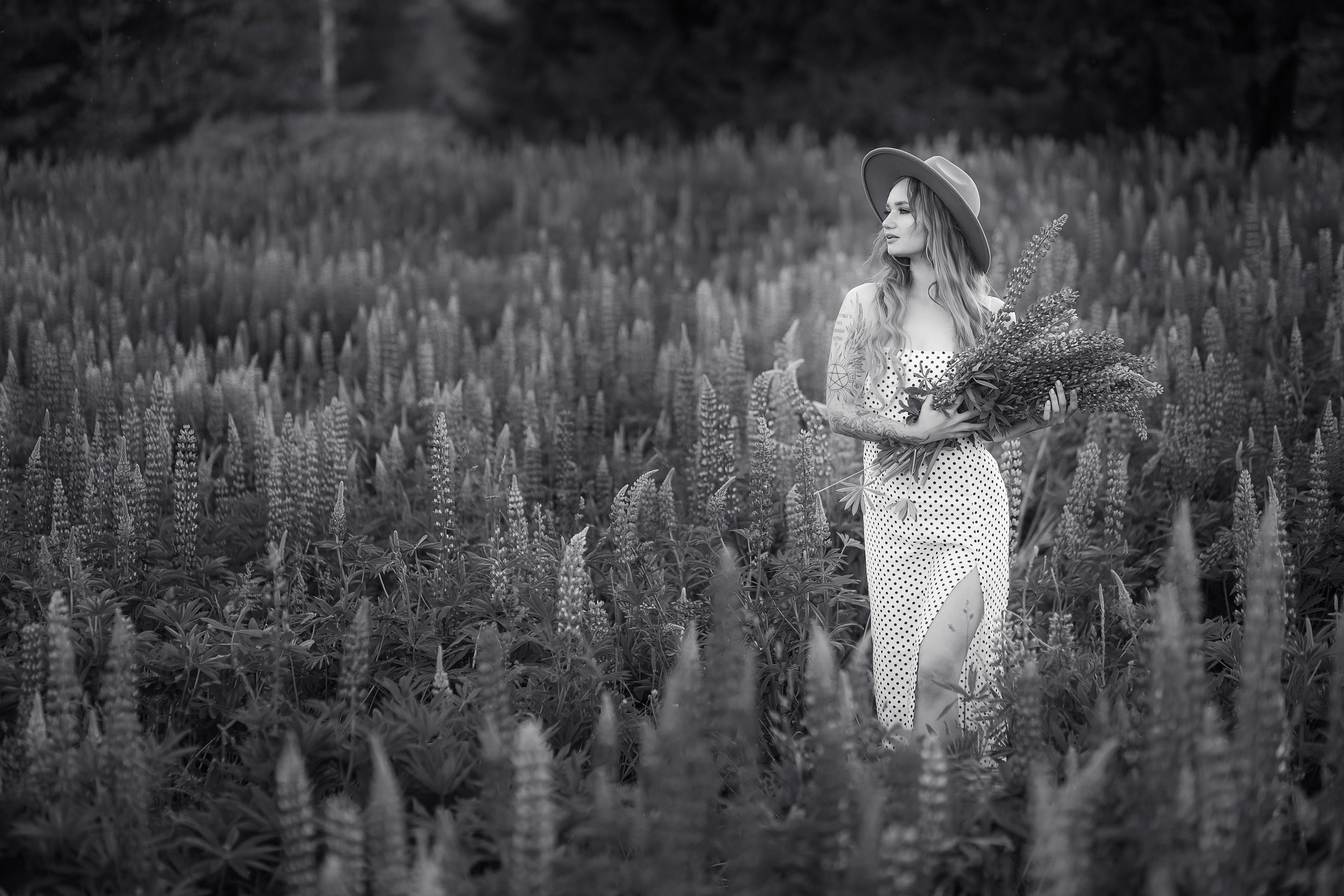 Люпиновая Фотосессия на закате. Профессиональный фотограф в Ижевске Леша Петров