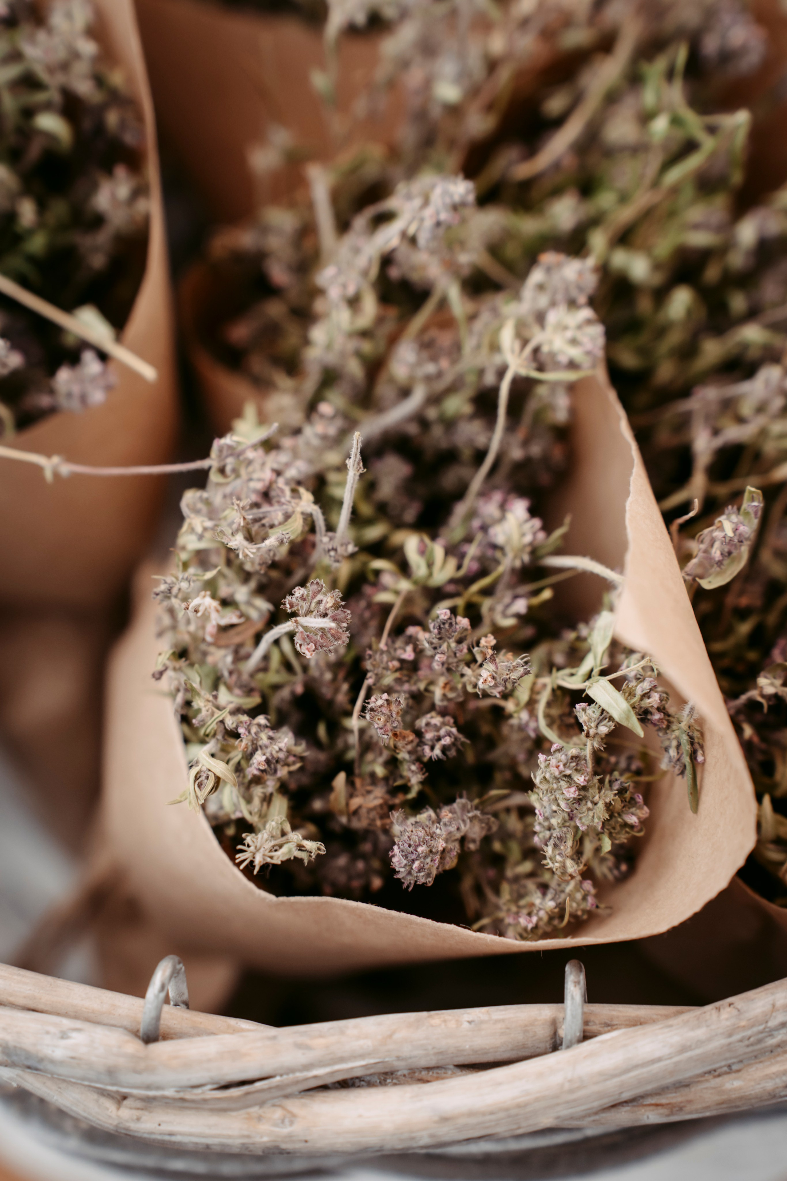 Фестиваль «Очень! Осень». Главная