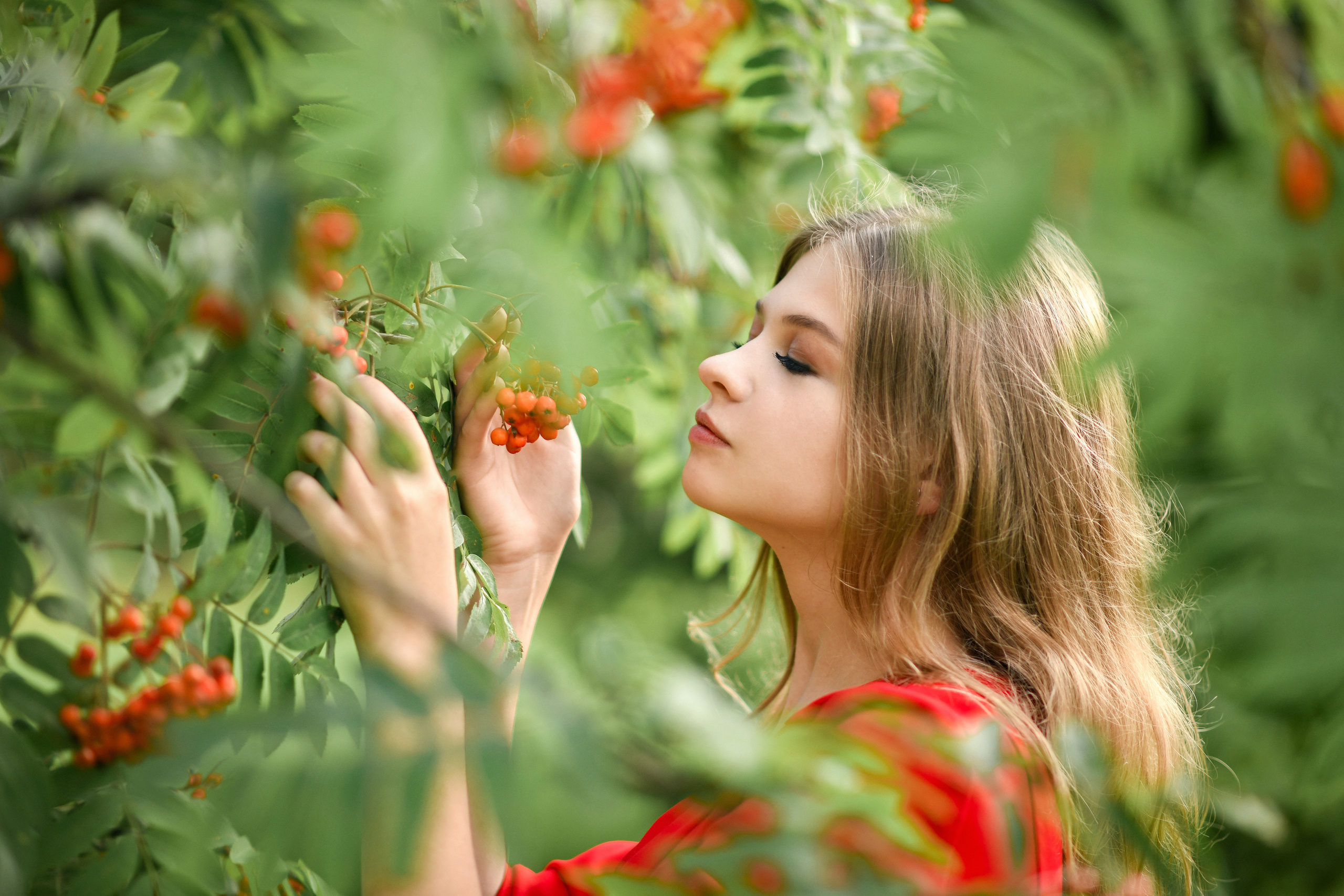 Рябинка. Фотограф/Тортодел Семёнова Анастасия