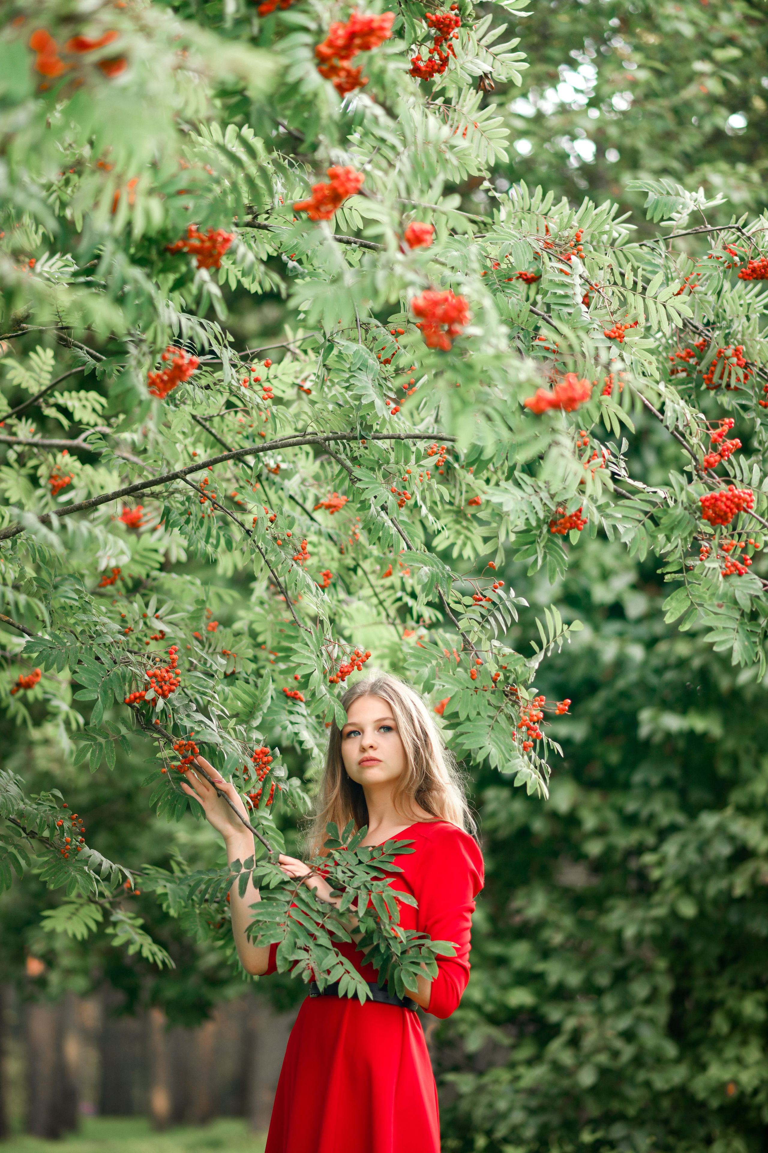 Рябинка. Фотограф/Тортодел Семёнова Анастасия