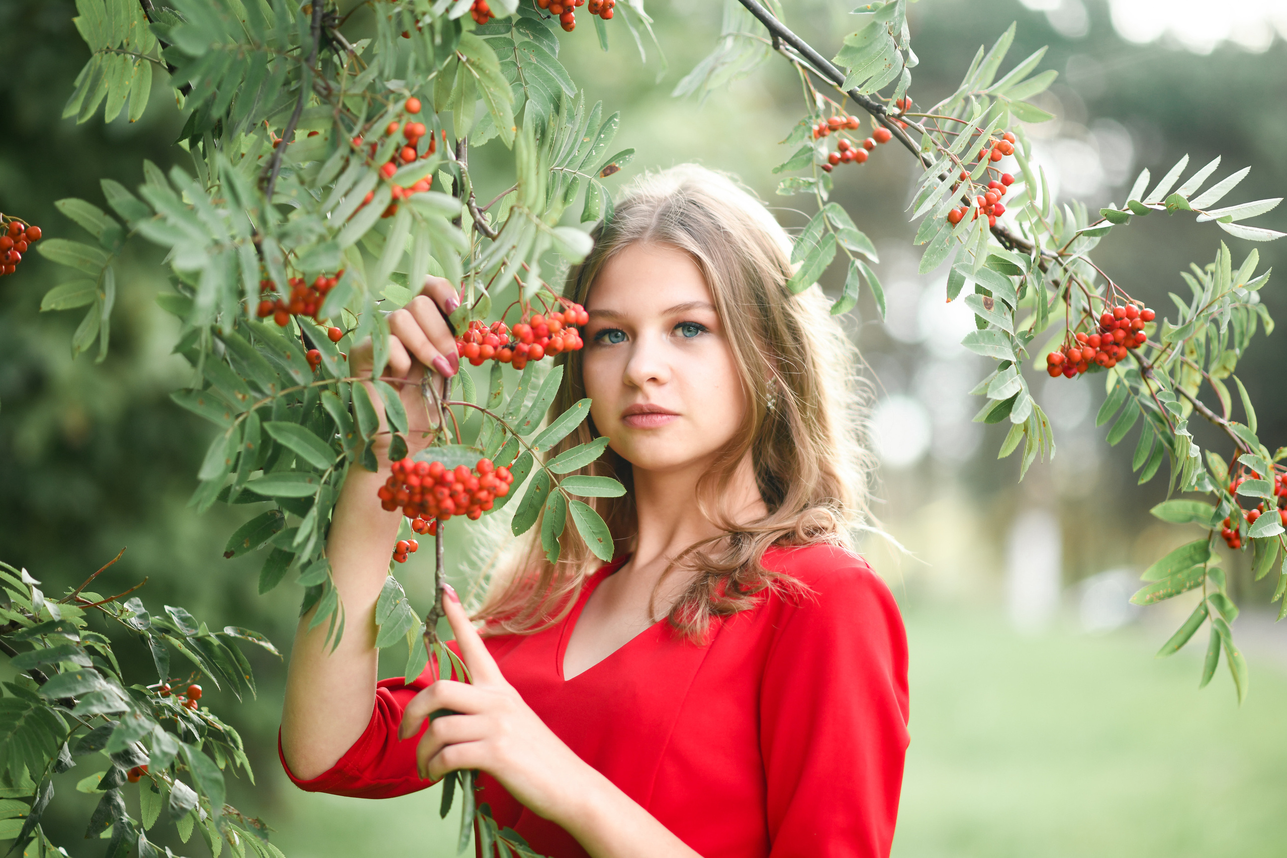 Рябинка. Фотограф/Тортодел Семёнова Анастасия