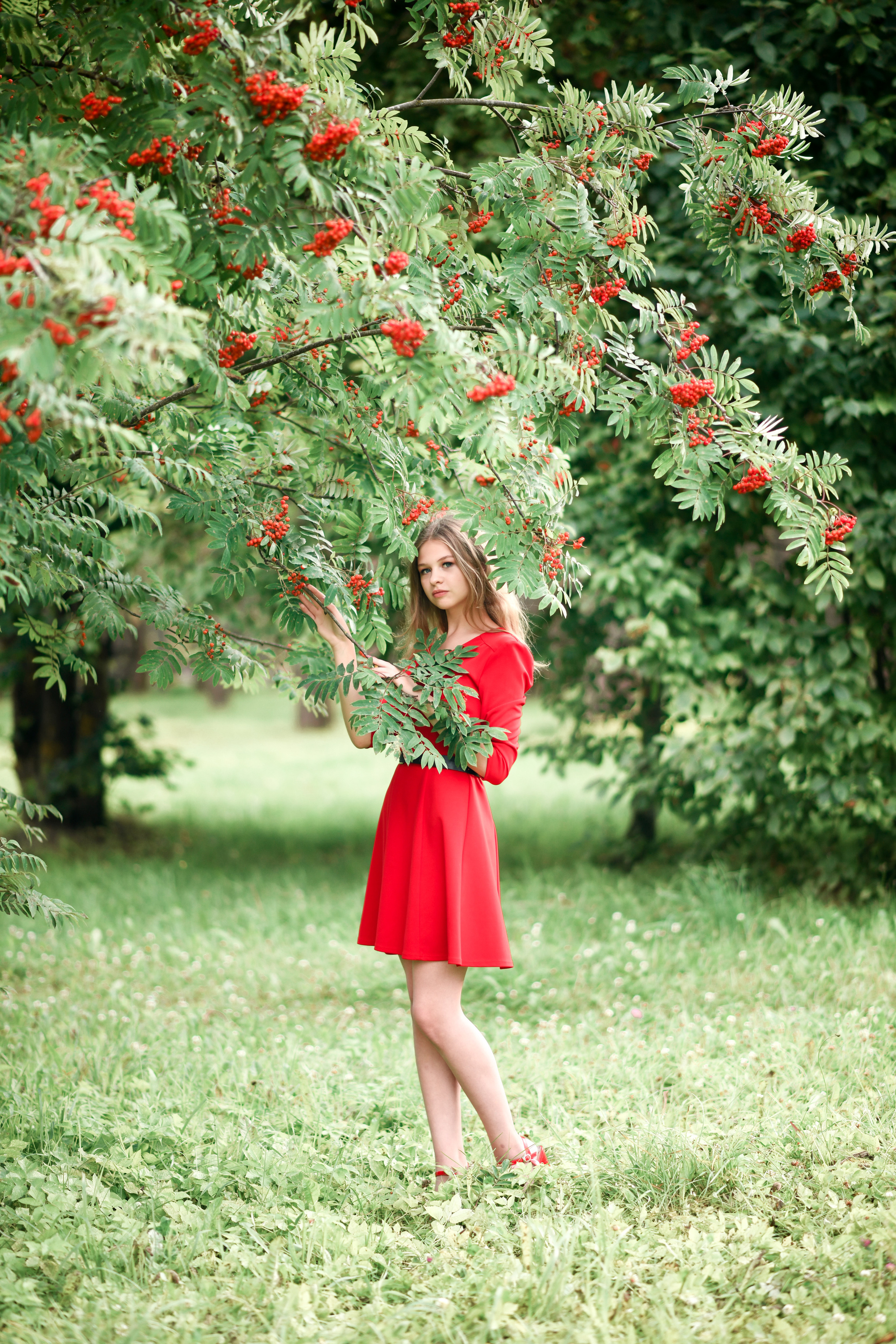 Рябинка. Фотограф/Тортодел Семёнова Анастасия