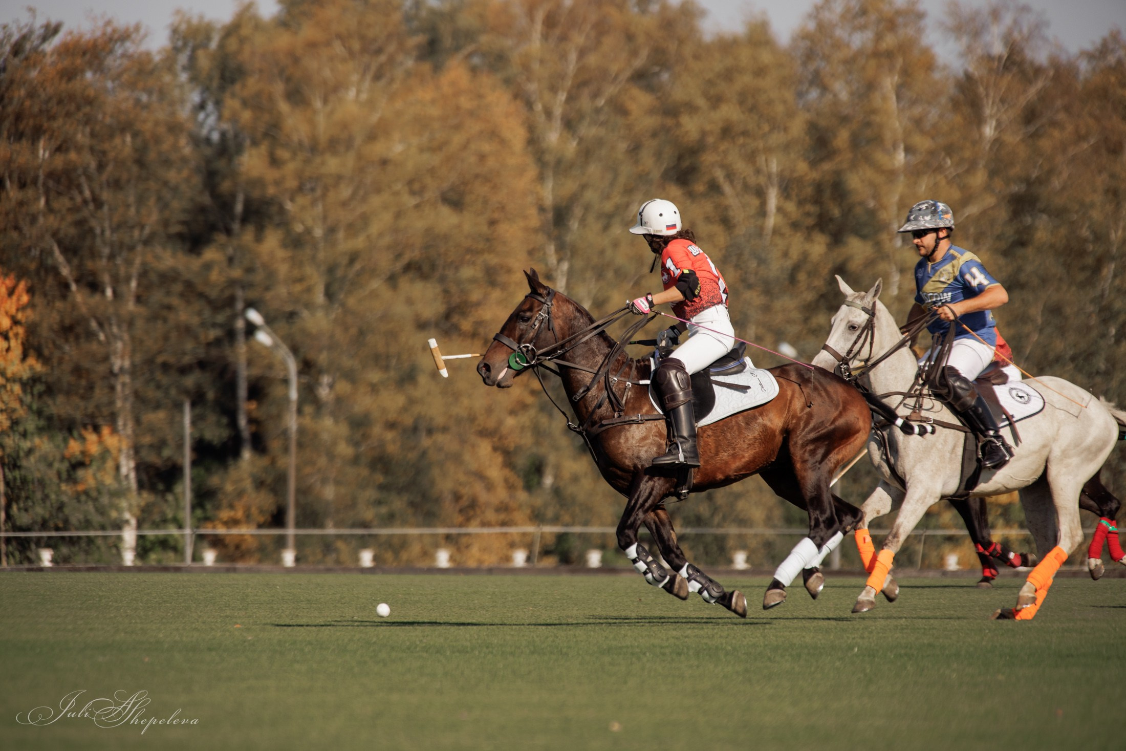 Осенний кубок по конному поло. Детская Конная фотография в Москве Юлия Шепелева