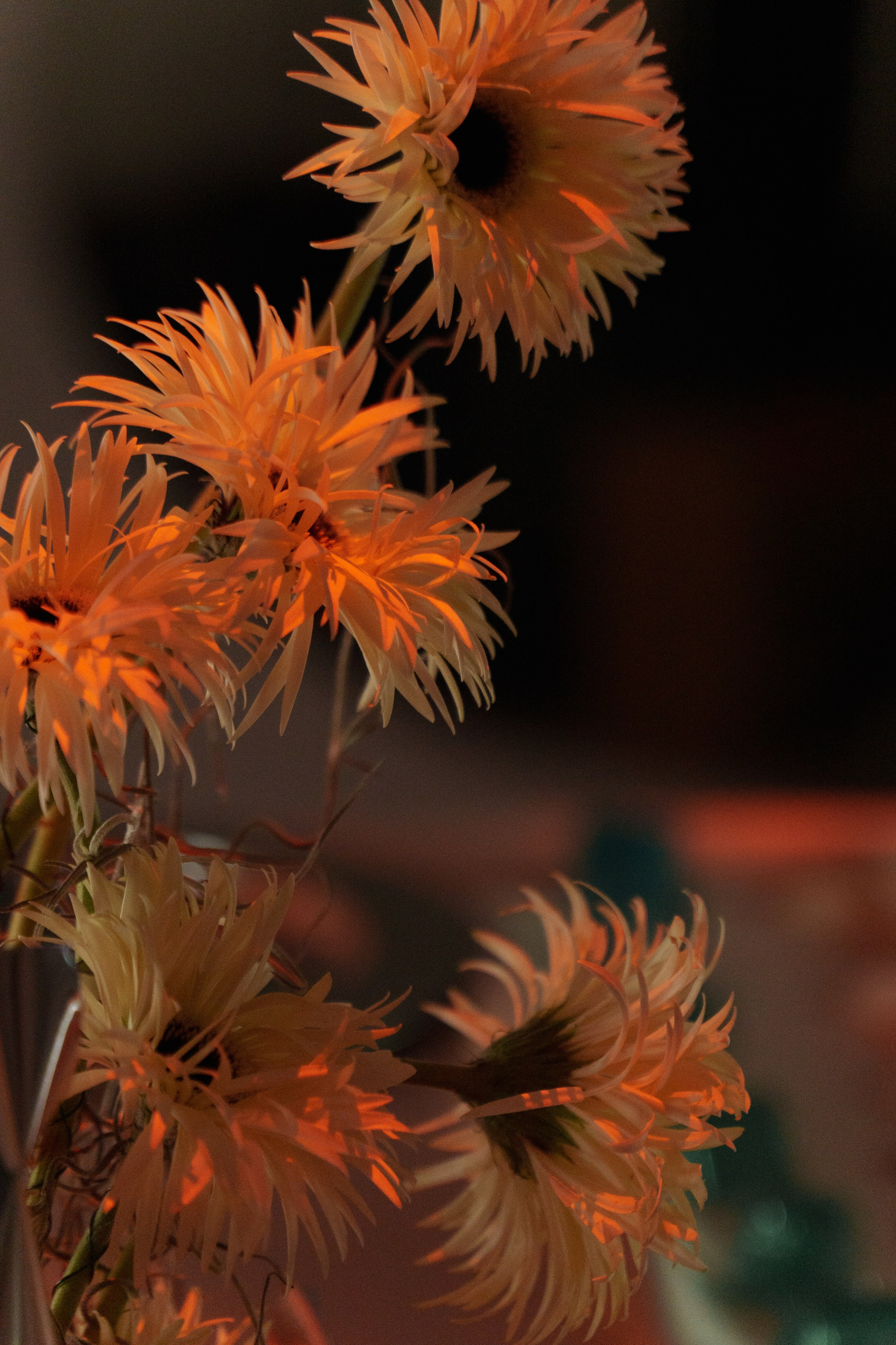 цветы на заказ. цветы. флорист дизайнер. клиентский сервис. головинский район. сао. флорист ховрино. флорист головинскийрайон. флорист клин. оформление цветами. цветочное оформление. оформление живыми цветами. современная флористика. камерная свадьба. большая свадьба. флорист на свадьбу москва. декоратор на свадьбу. концепция свадьбы. ручная работа. маленькая свадьба. бюджетная свадьба. дорогая свадьба. работа на заказ. живые цветы. украшение живыми цветами