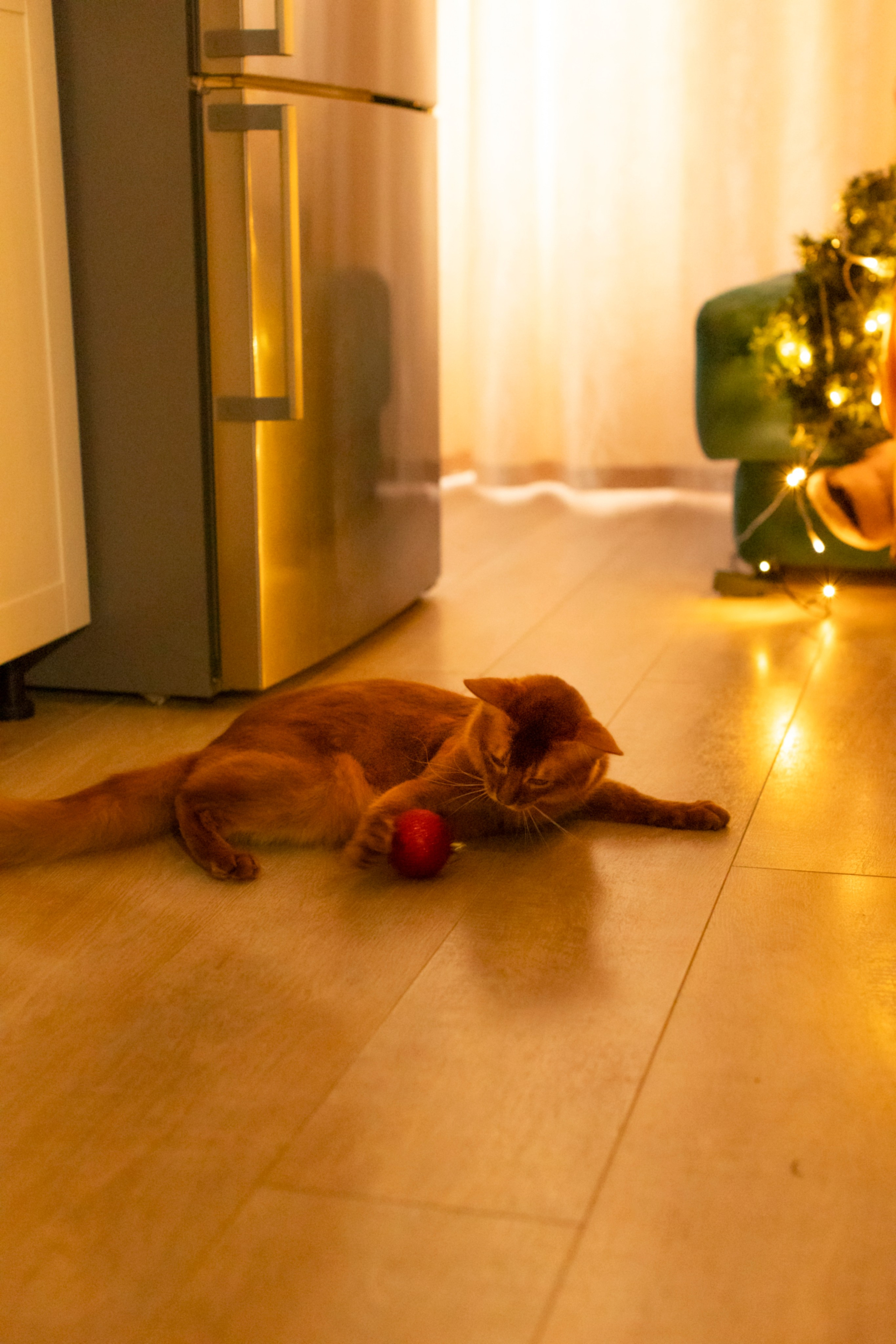 Сомали. Art my Pho