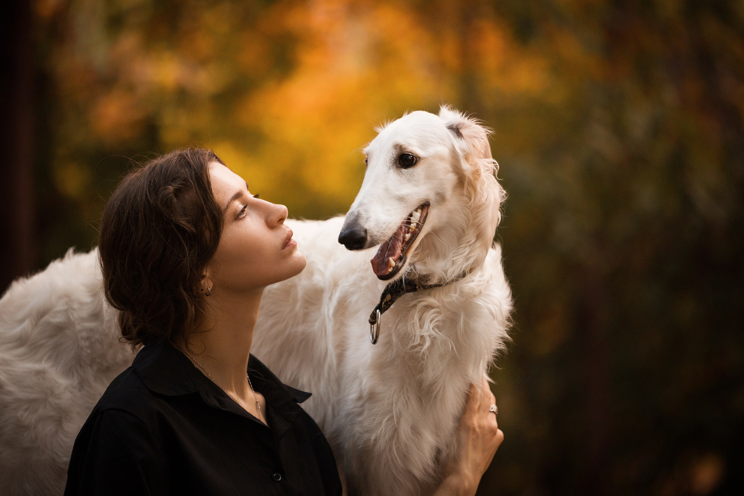 Портфолио. Фотограф-анималист в Екатеринбурге Марина Шишкина