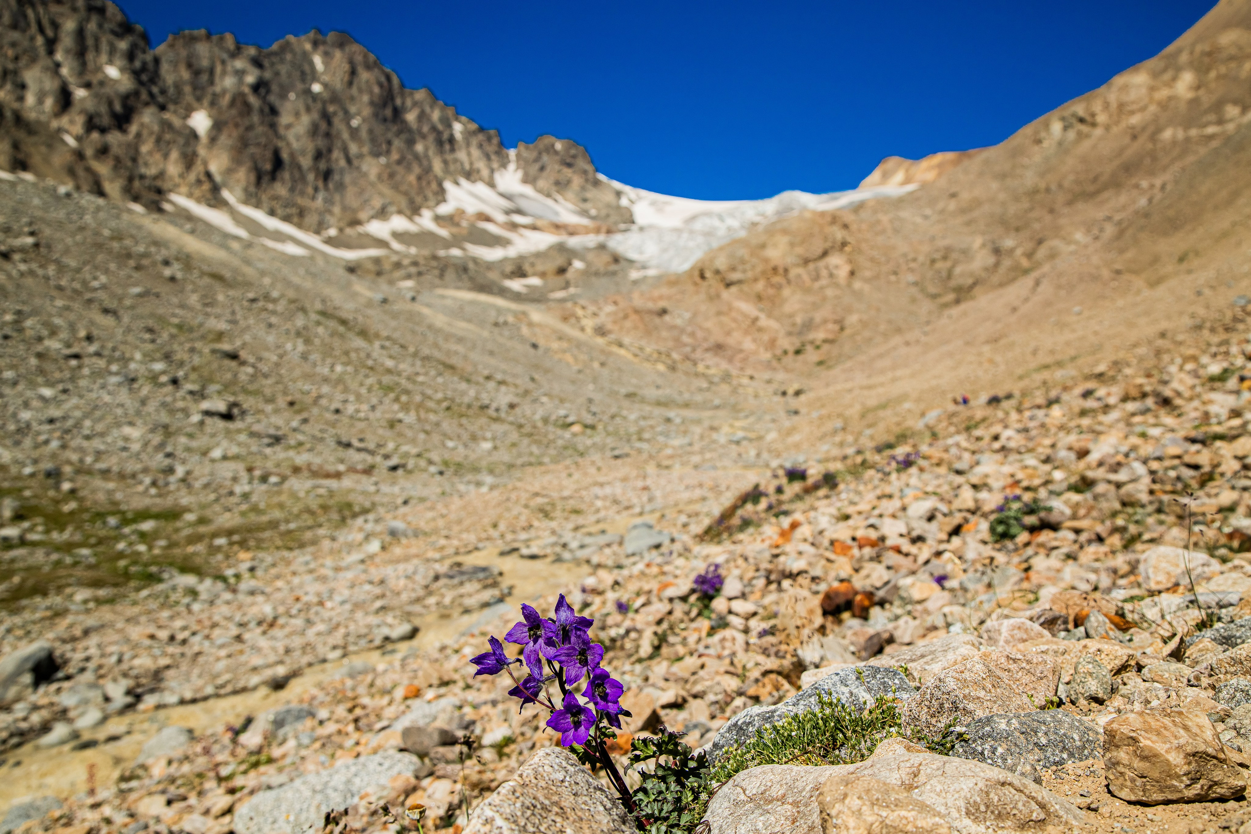 КАВКАЗ. Авторские туры с профессиональным фотографом