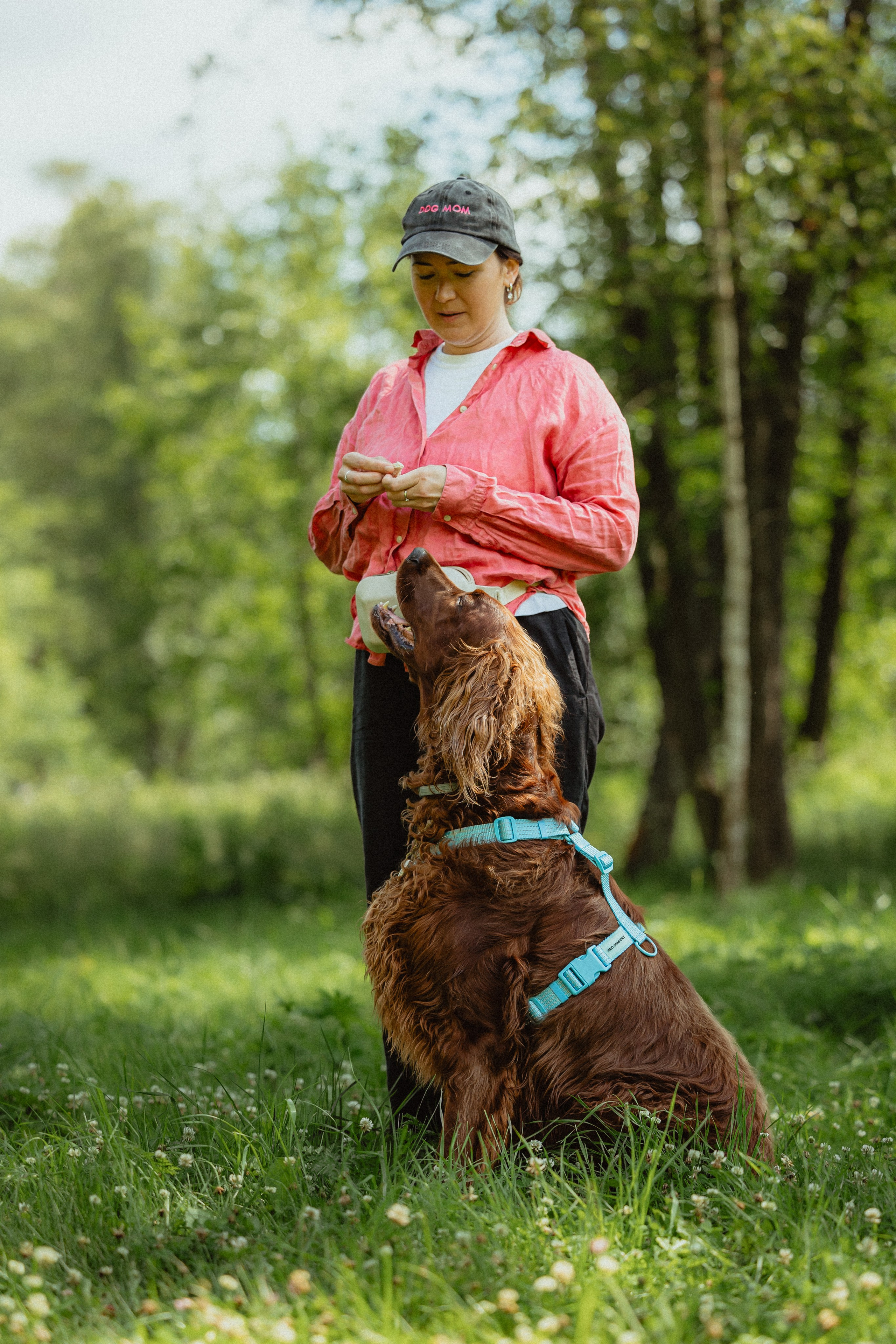 Выездной дог-тренинг от школы «Шерсть имею»