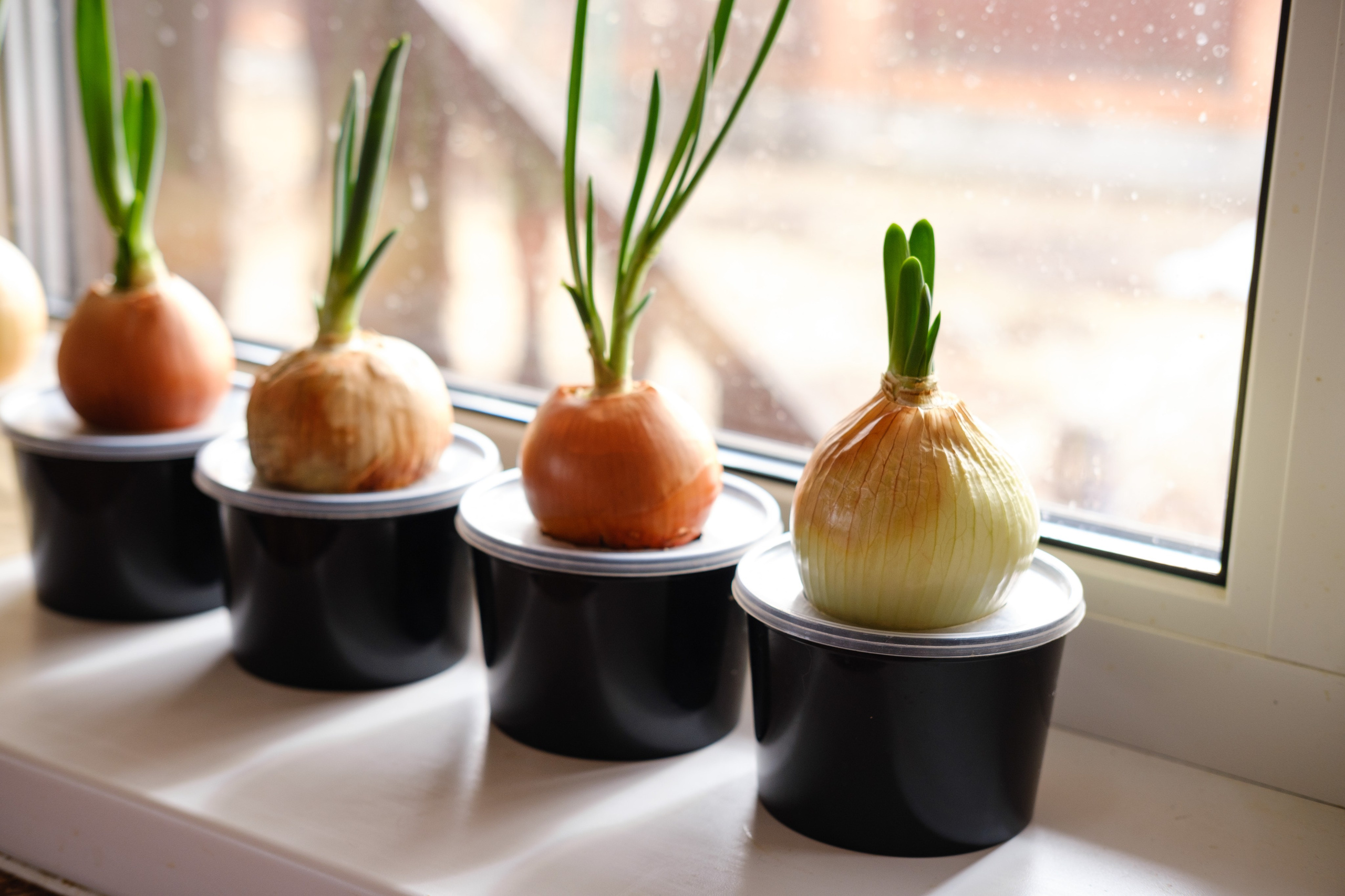 У Ирины весенним утром. Фотограф Евгения Войко Тюмень