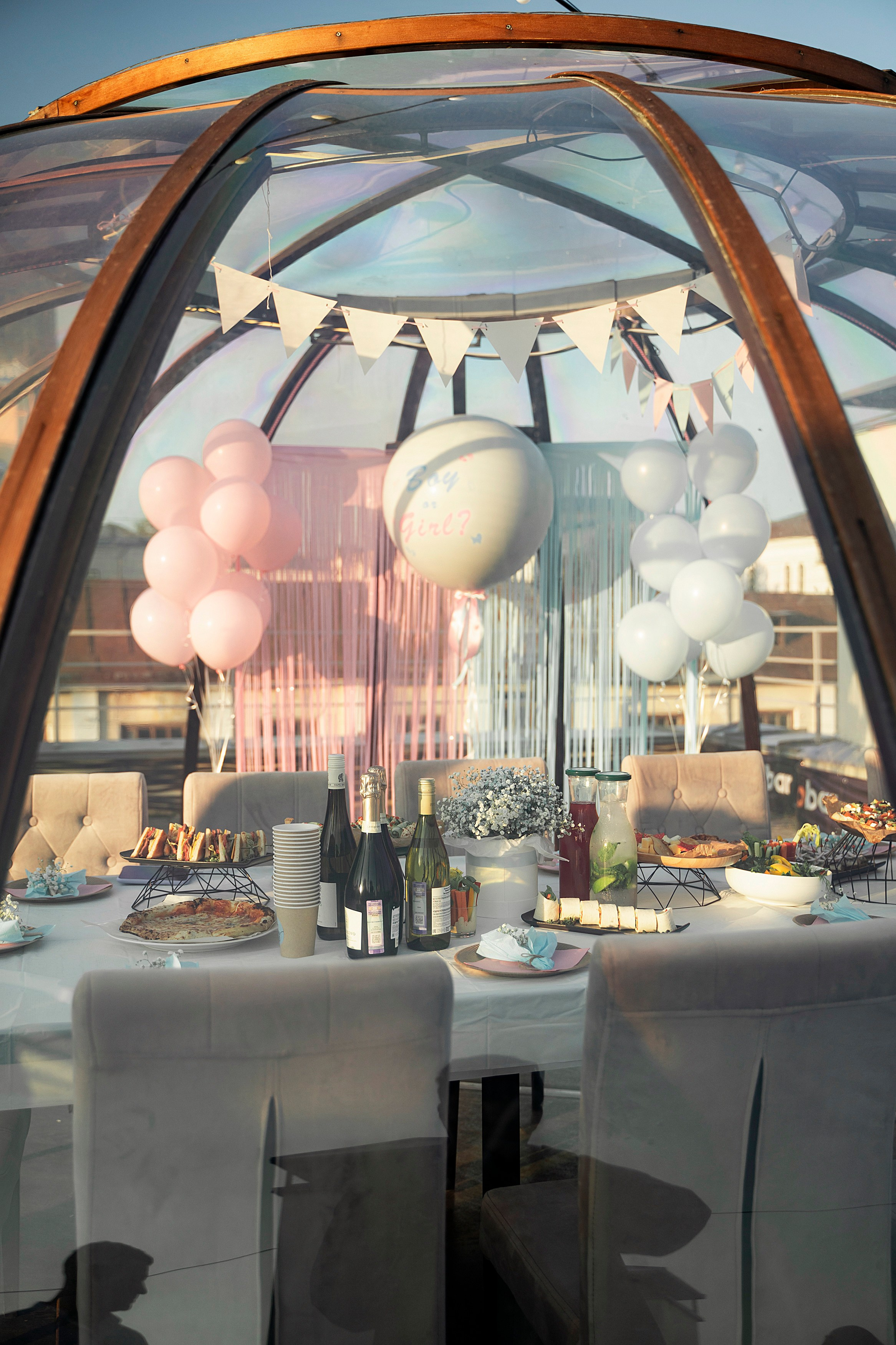 Гендер пати. Фотограф Казань