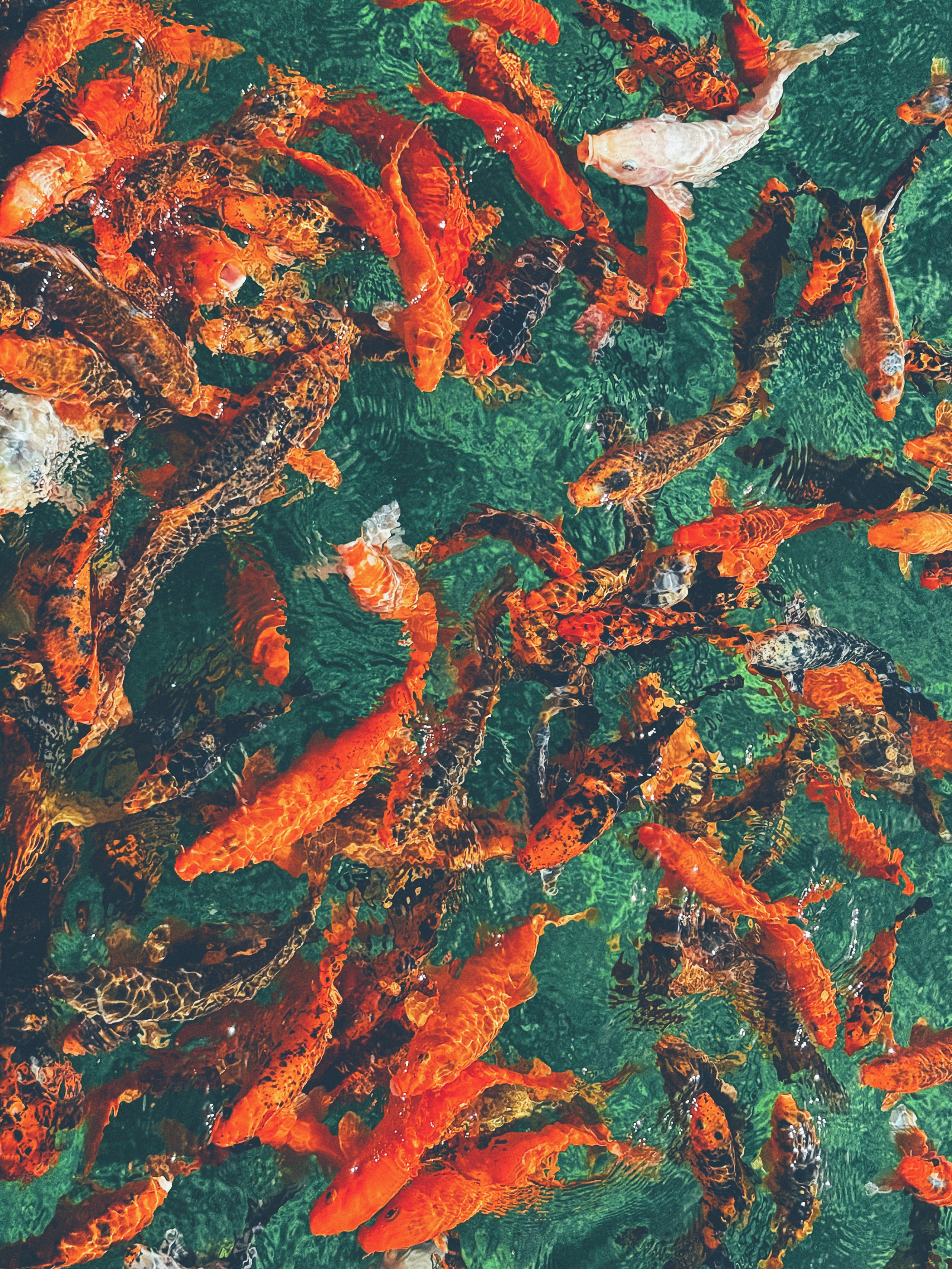 Postcards. Мария Сосновская, фотограф, Москва. Семейные, личные, контент съемки